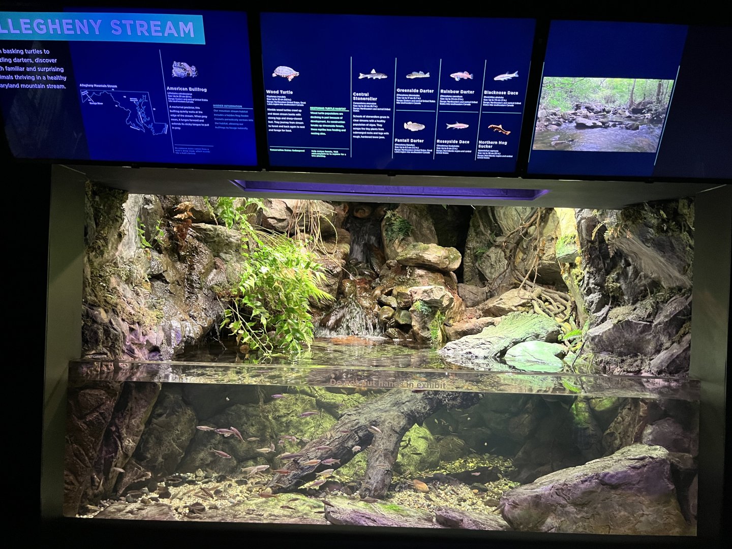 Allegheny Stream Exhibit