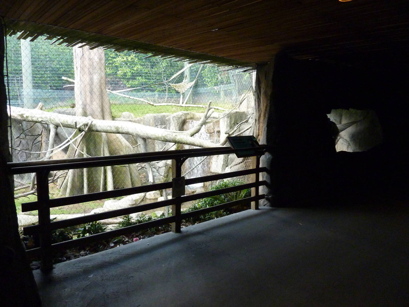 Allen's Swamp Monkey/Colobus Exhibit