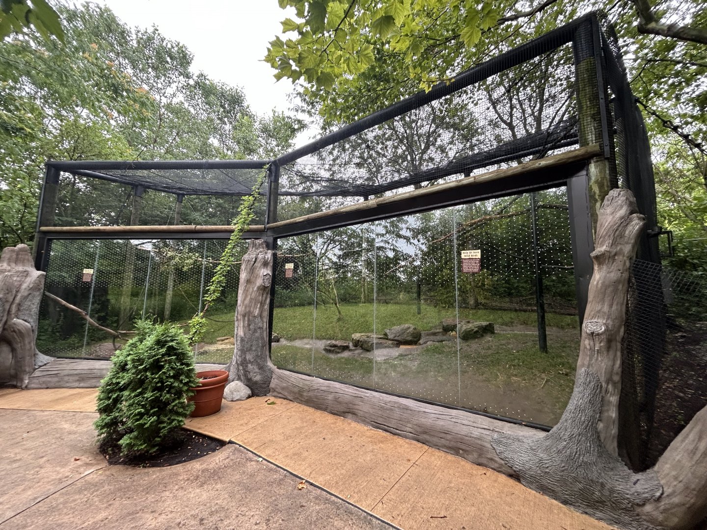 Allen’s Swamp Monkey Exhibit - African Journey