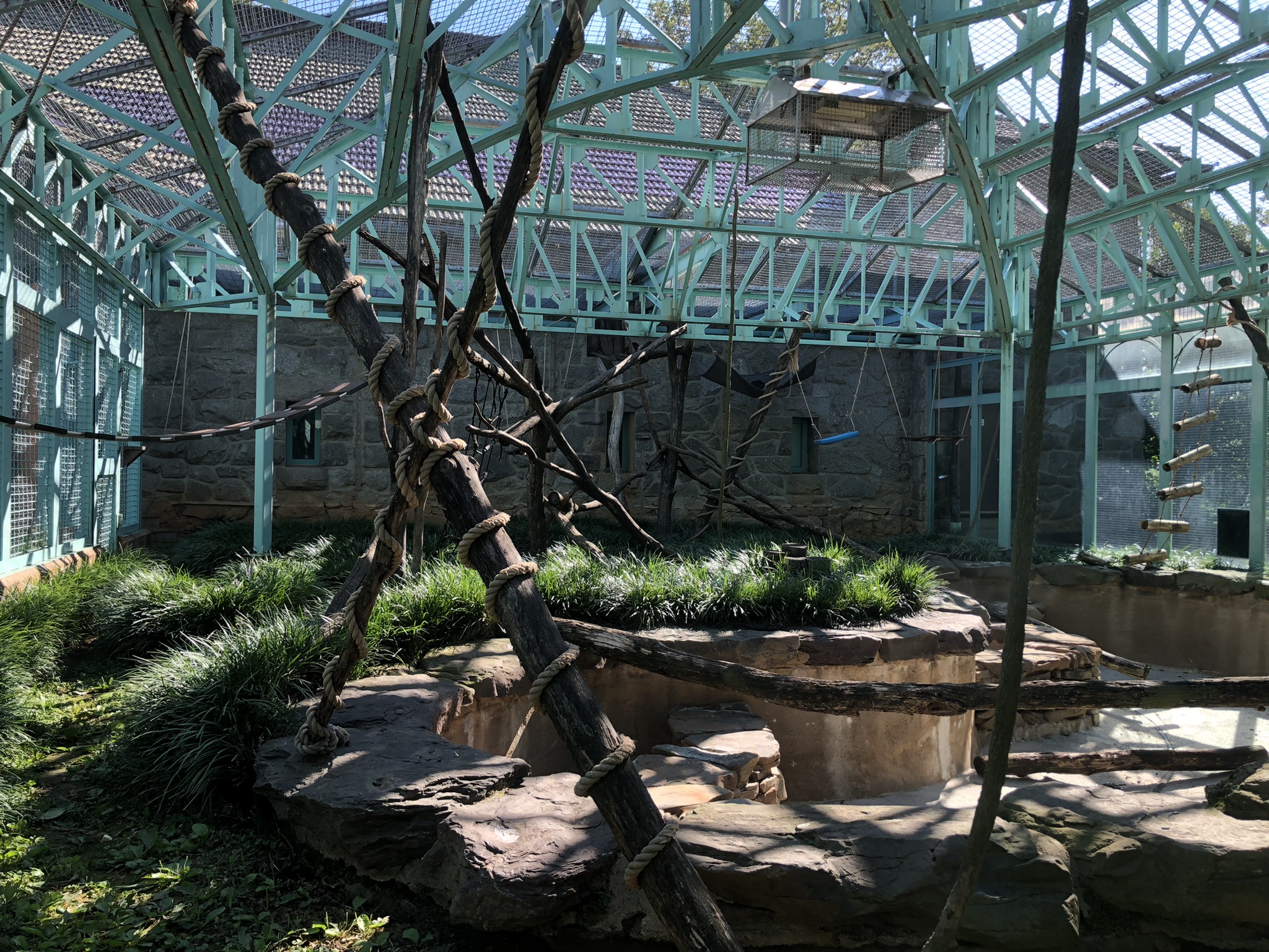 Allen’s swamp monkey exhibit (temporarily closed)