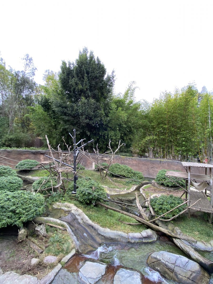 Allen’s Swamp Monkey Habitat - Lost Forest