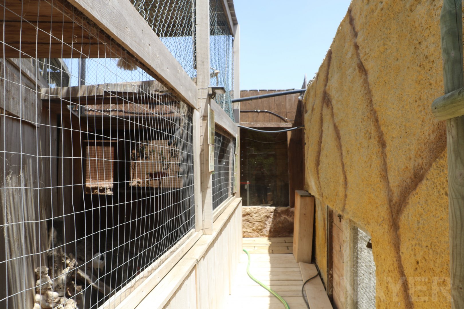 Alley to lynx enclosure - Wildlife Park Malta, June 2019