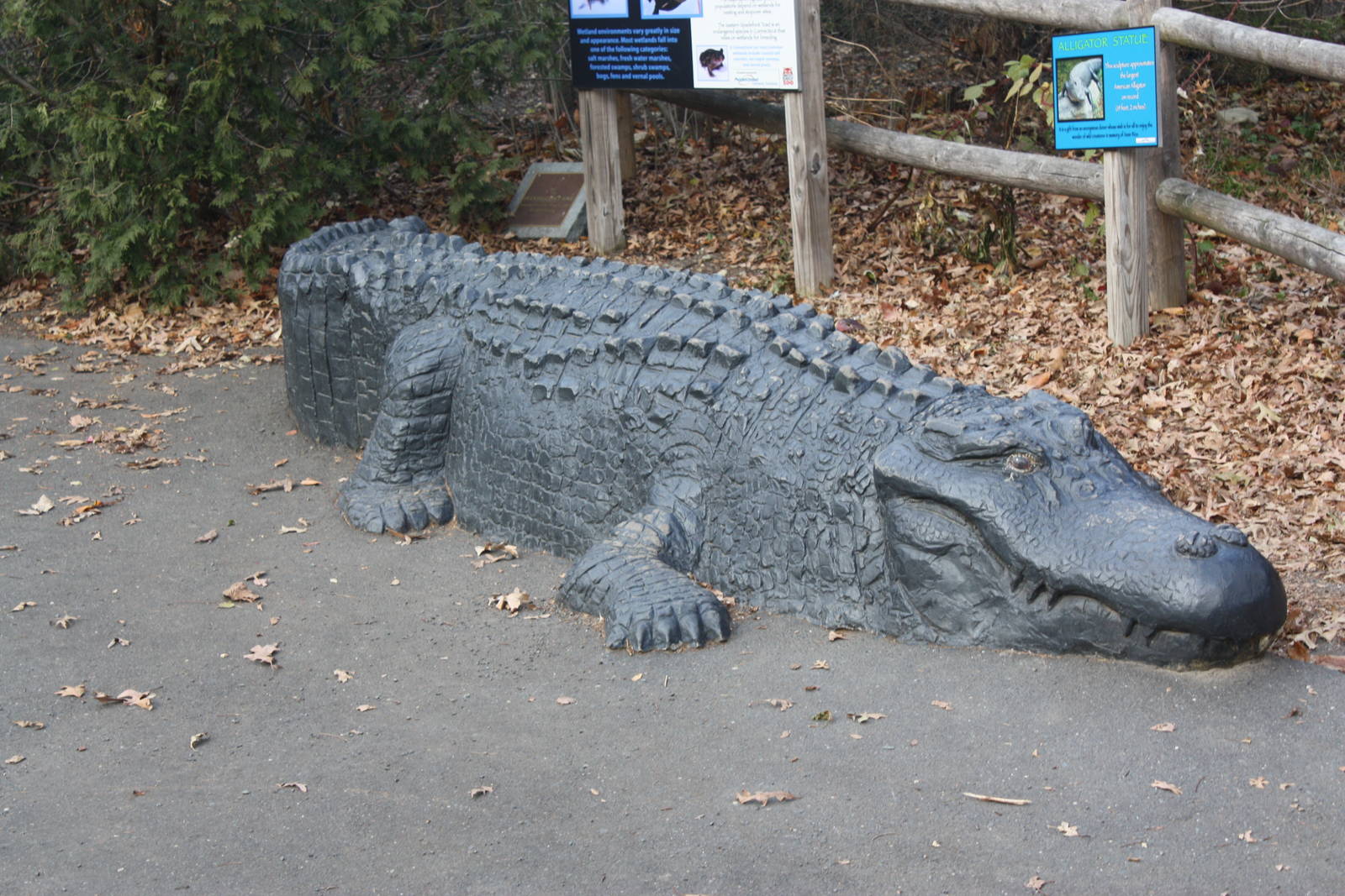 Alligator Alley- Alligator Statue