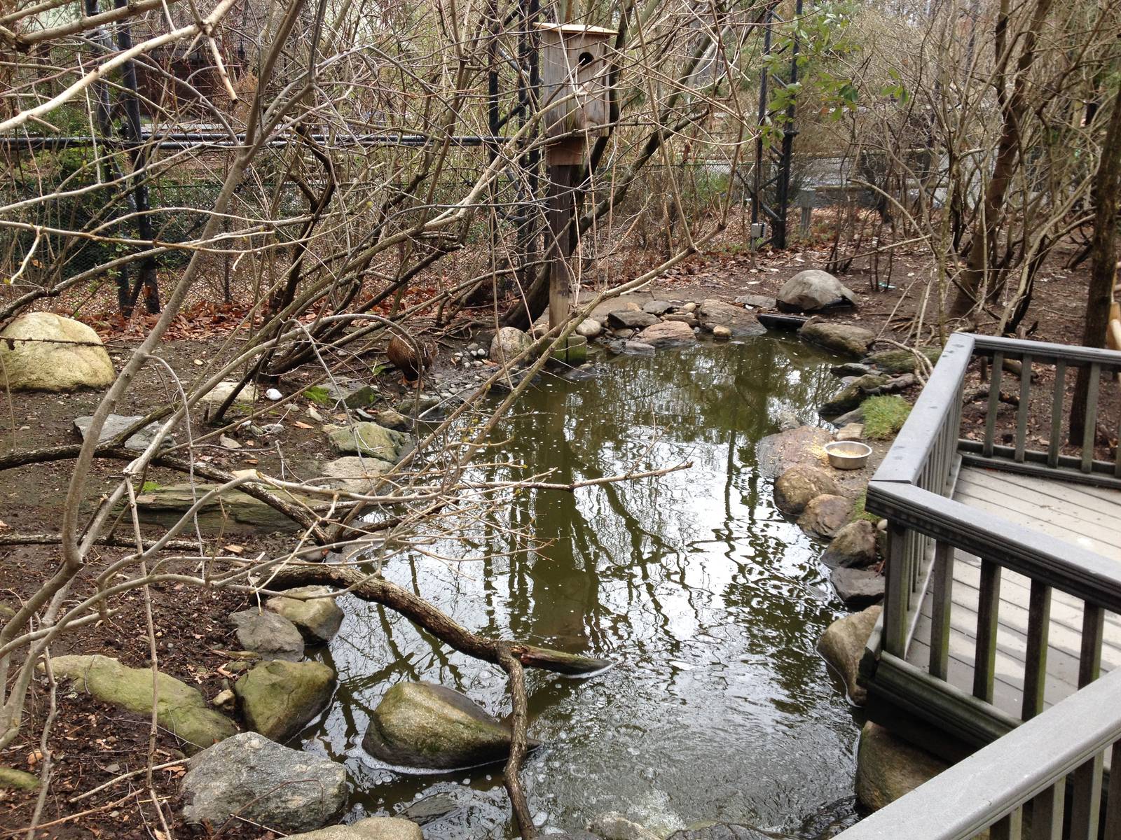 Alligator Alley Aviary