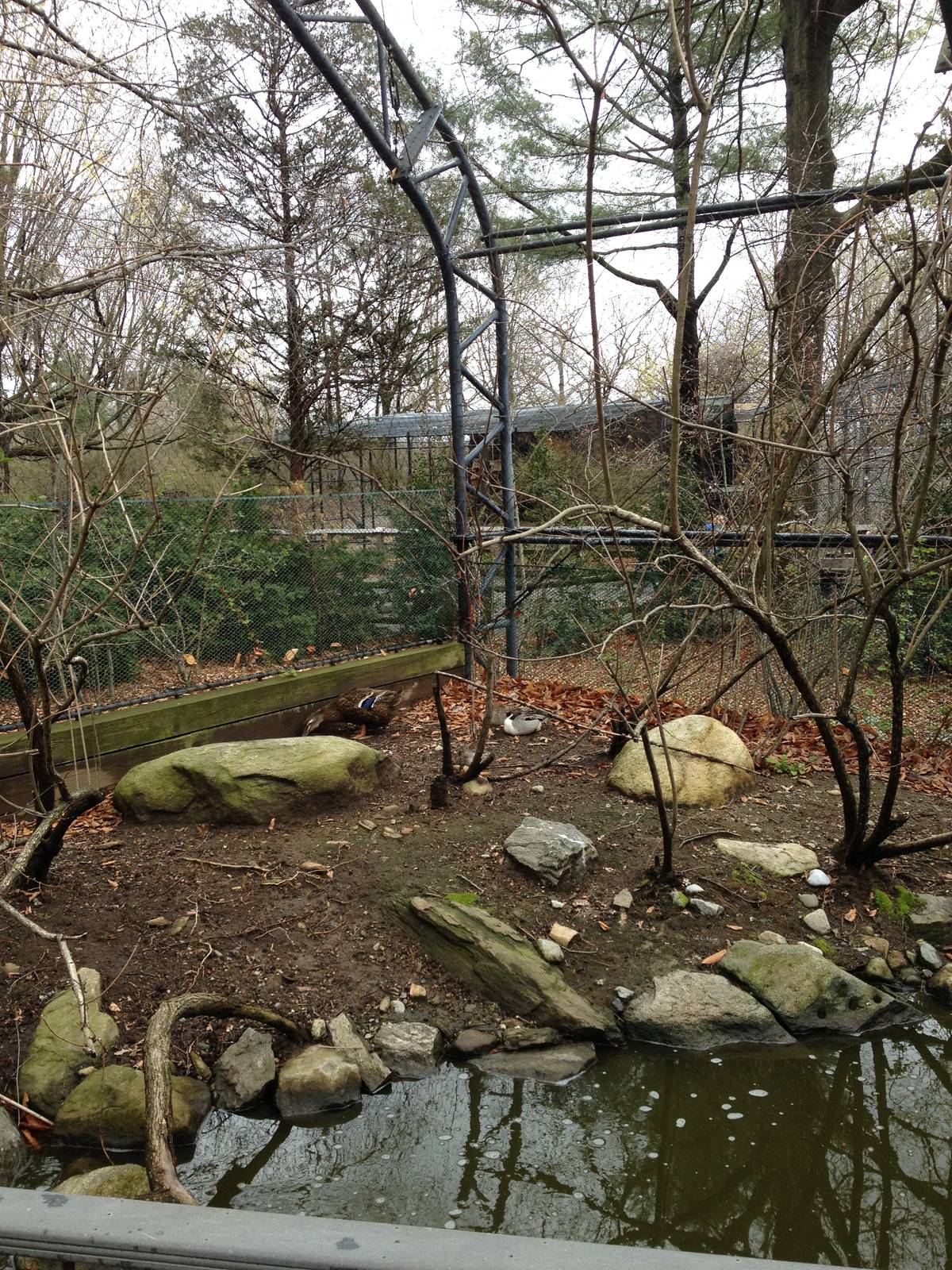 Alligator Alley Aviary