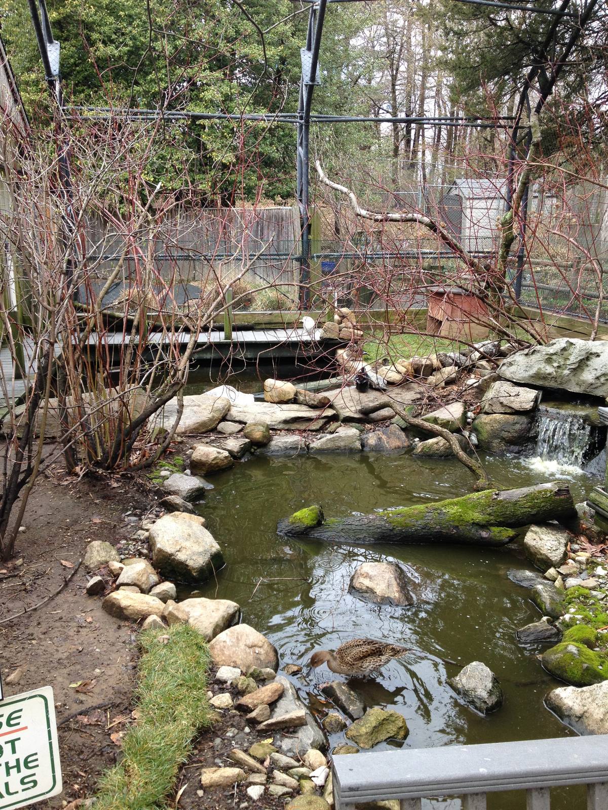 Alligator Alley Aviary