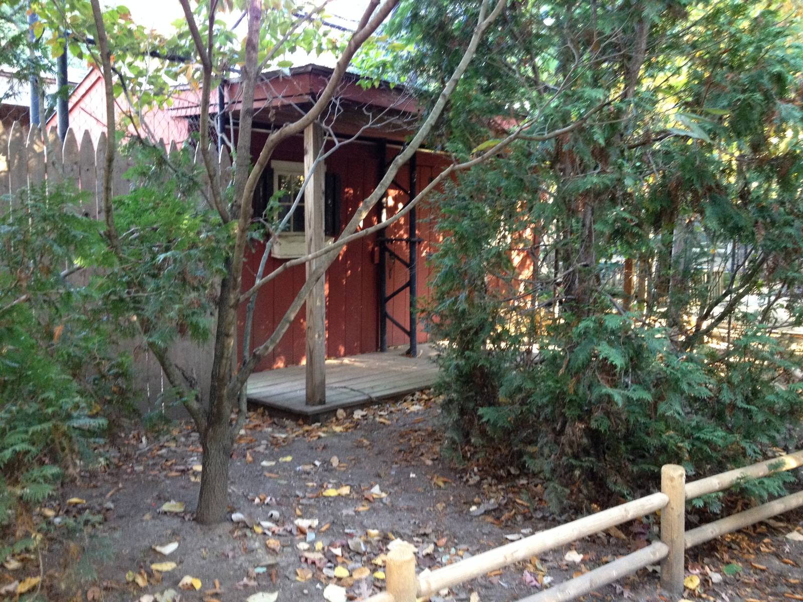 Alligator Alley- Free-Flight Aviary