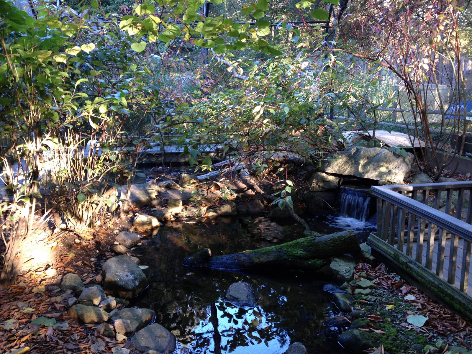 Alligator Alley- Free-Flight Aviary
