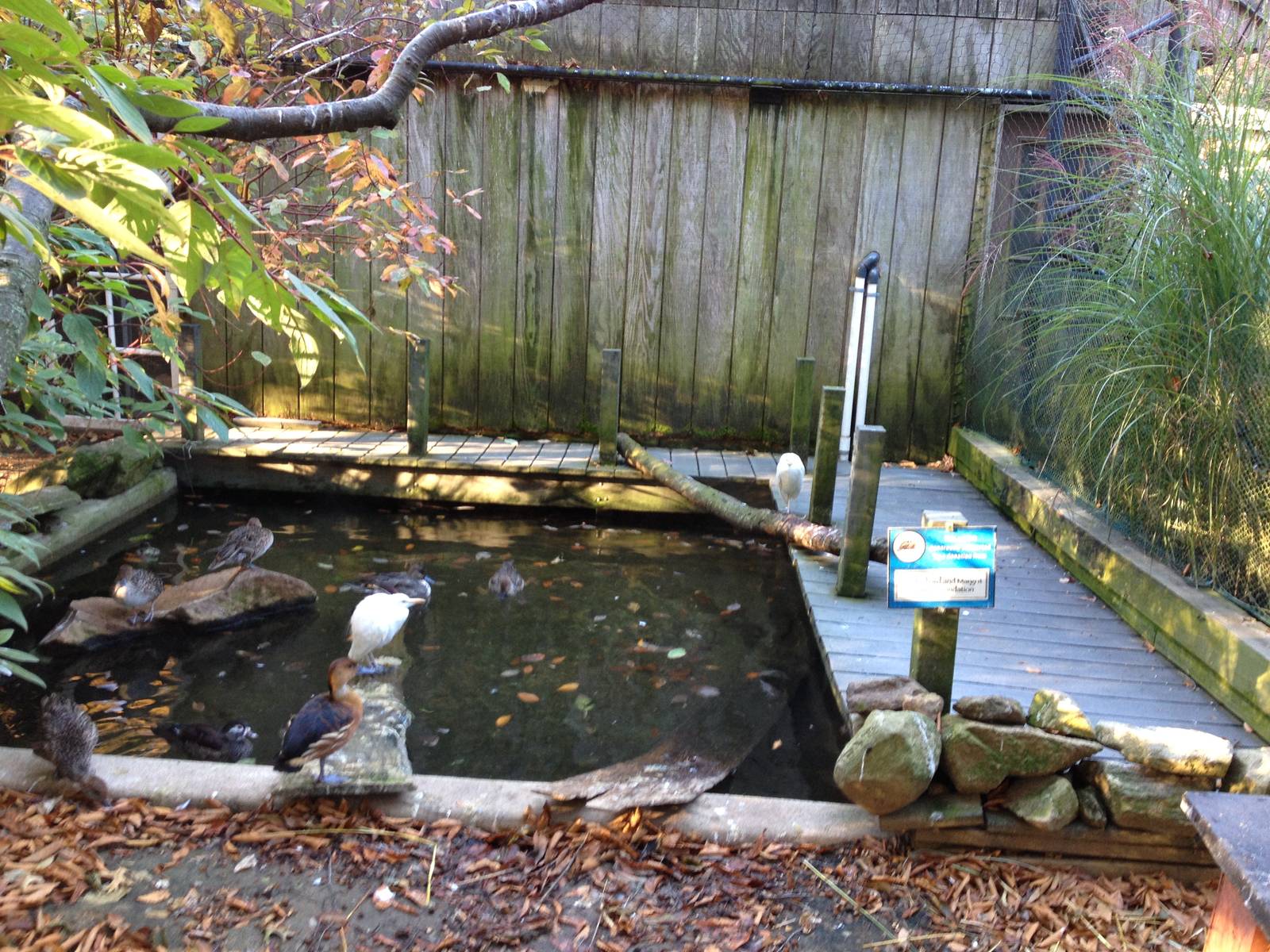 Alligator Alley- Free-Flight Aviary