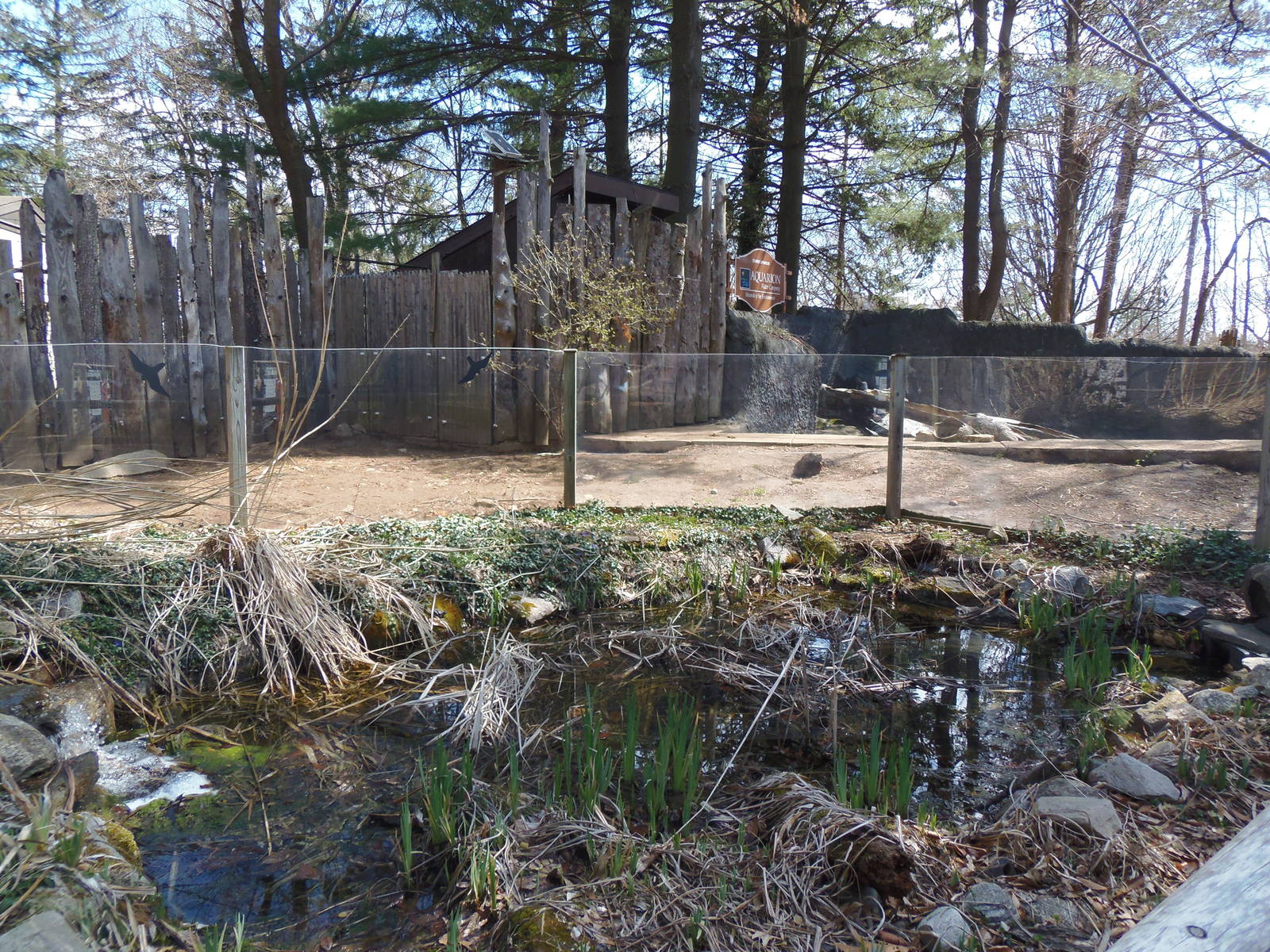 Alligator Alley- Marsh Pond and Part of Otter Exhibit