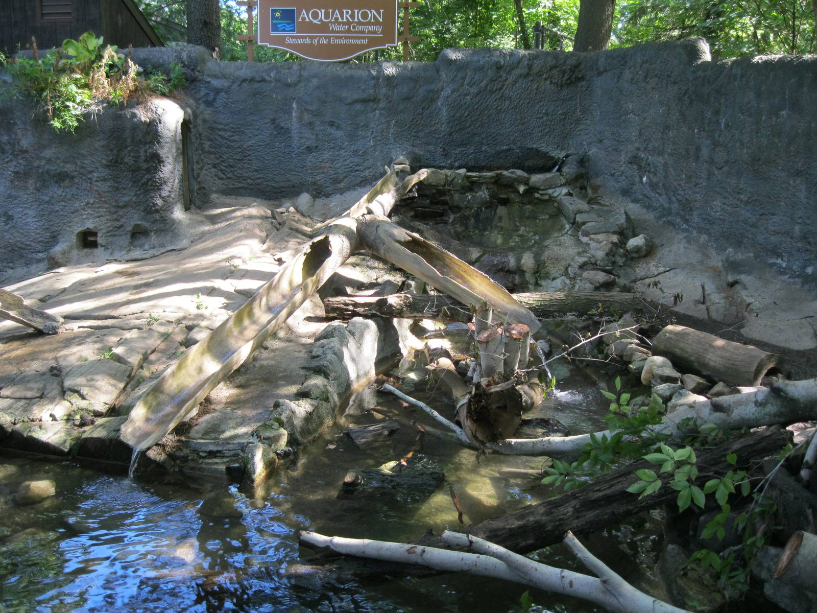 Alligator Alley- North American River Otter Exhibit