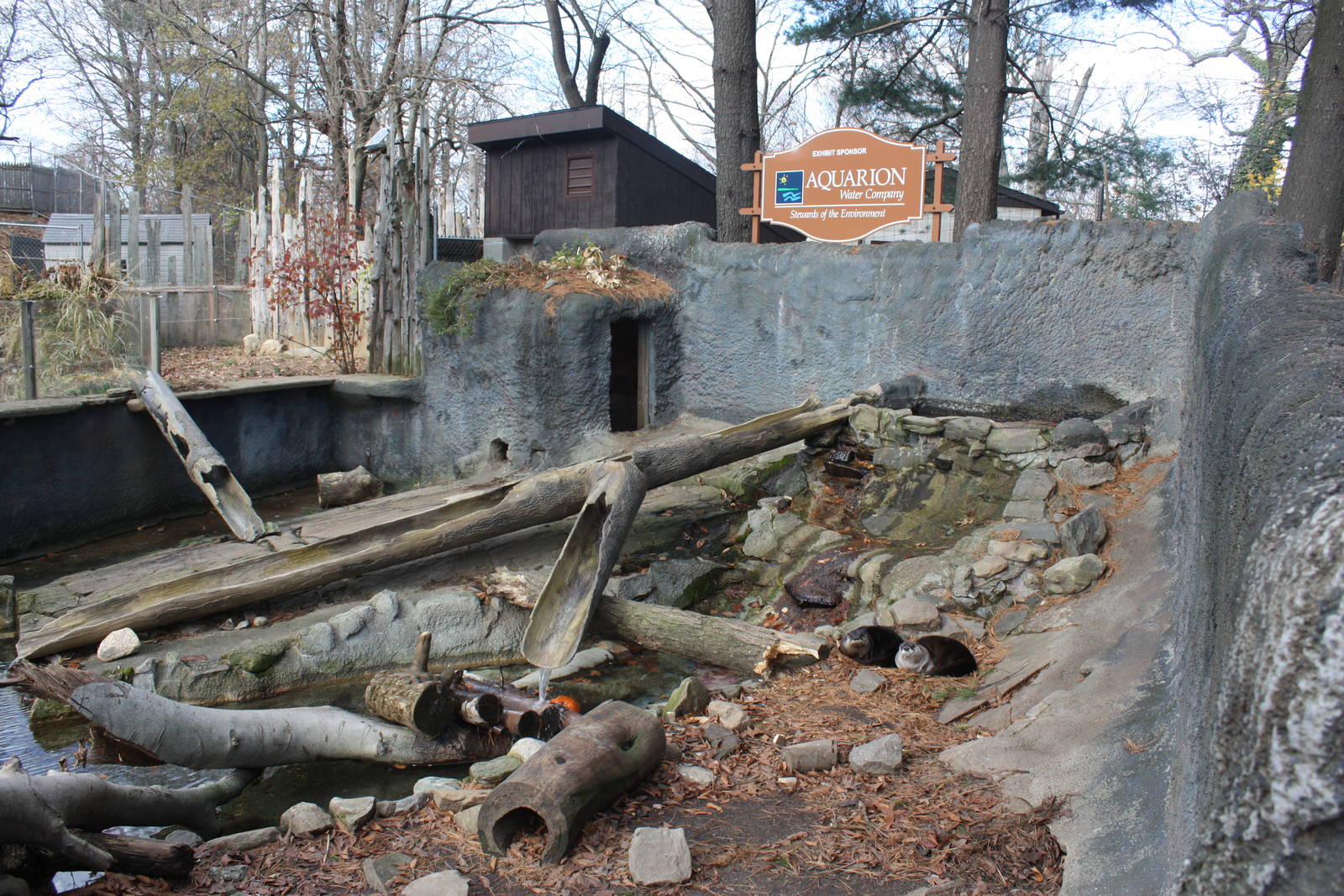 Alligator Alley- North American River Otter Exhibit