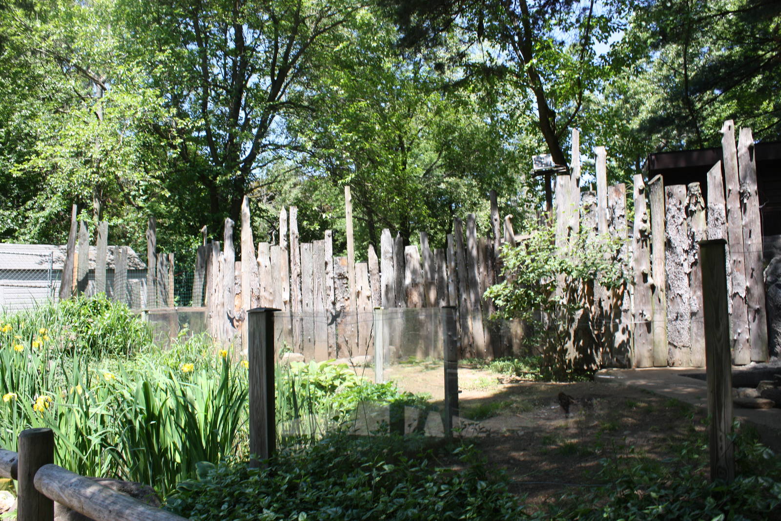 Alligator Alley- Part 2 of River Otter Exhibit