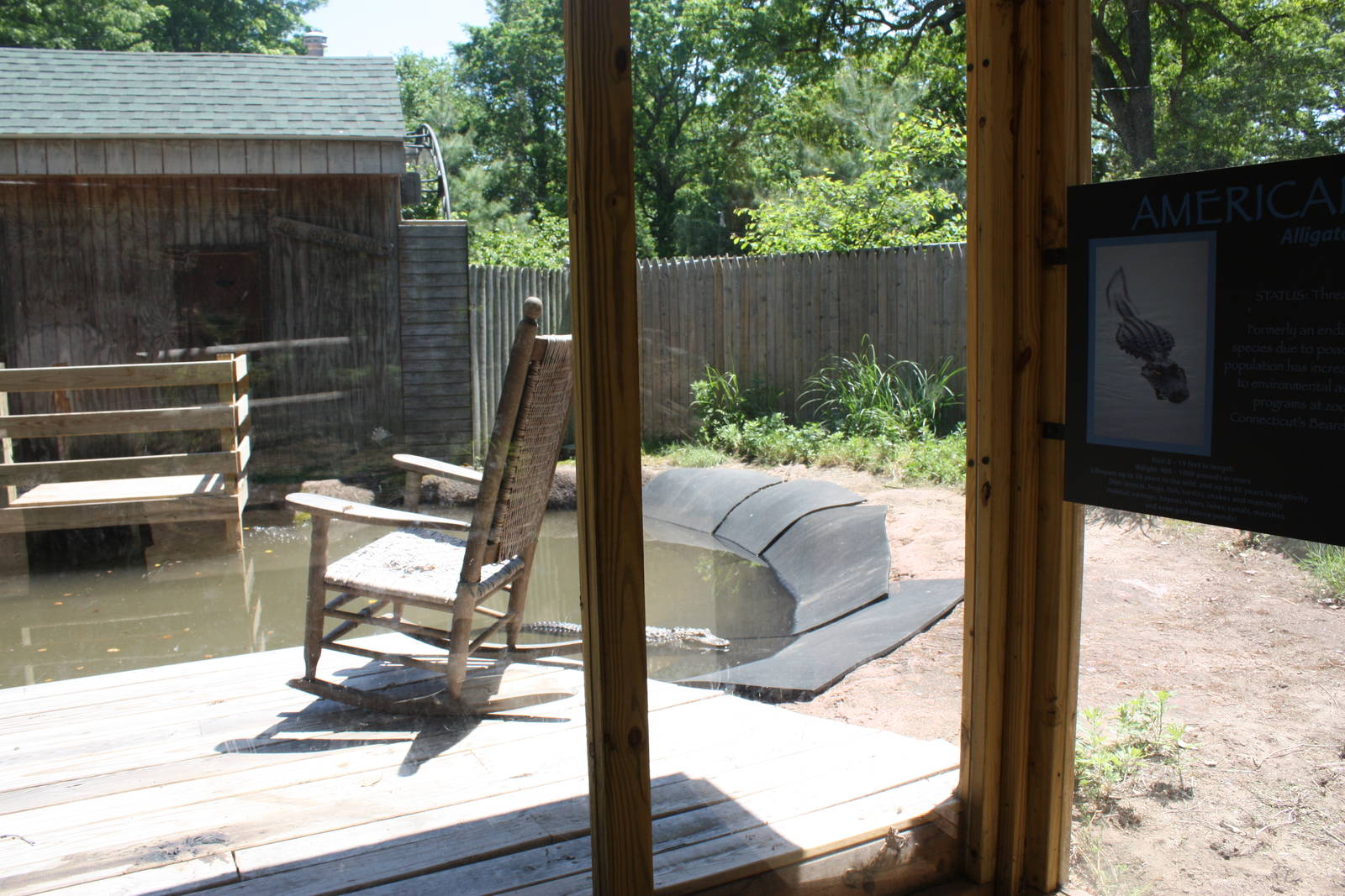 Alligator Alley- Part 3 of Alligator Exhibit