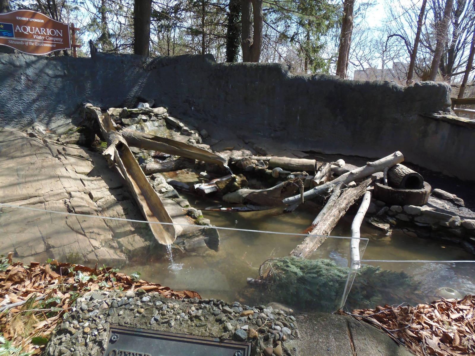 Alligator Alley- Part of Otter Exhibit