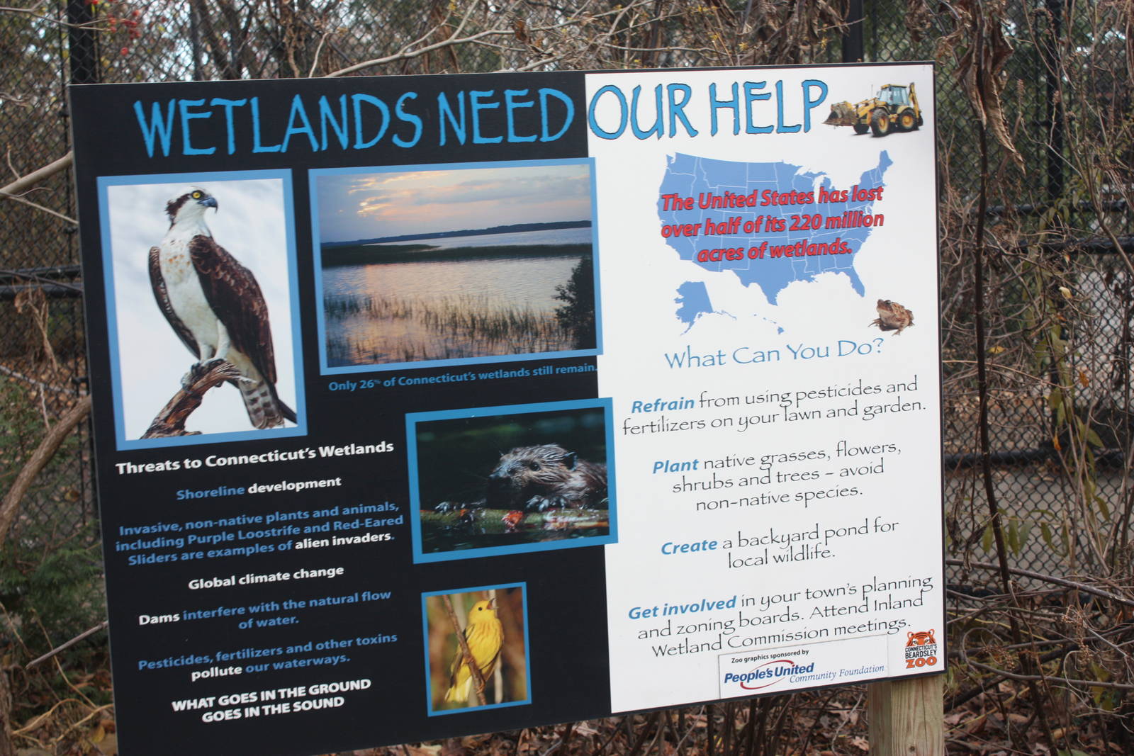 Alligator Alley- Wetlands Protection Sign