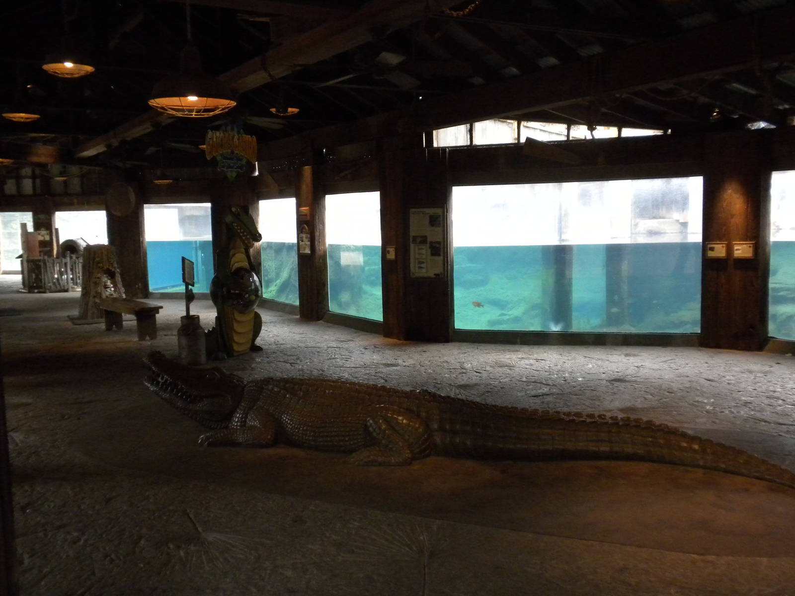 Alligator and Otter exhibits
