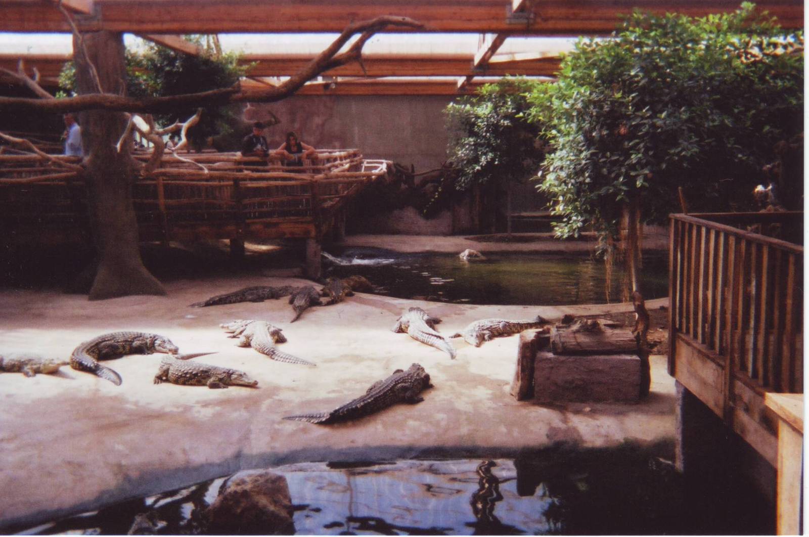 Alligator Bay