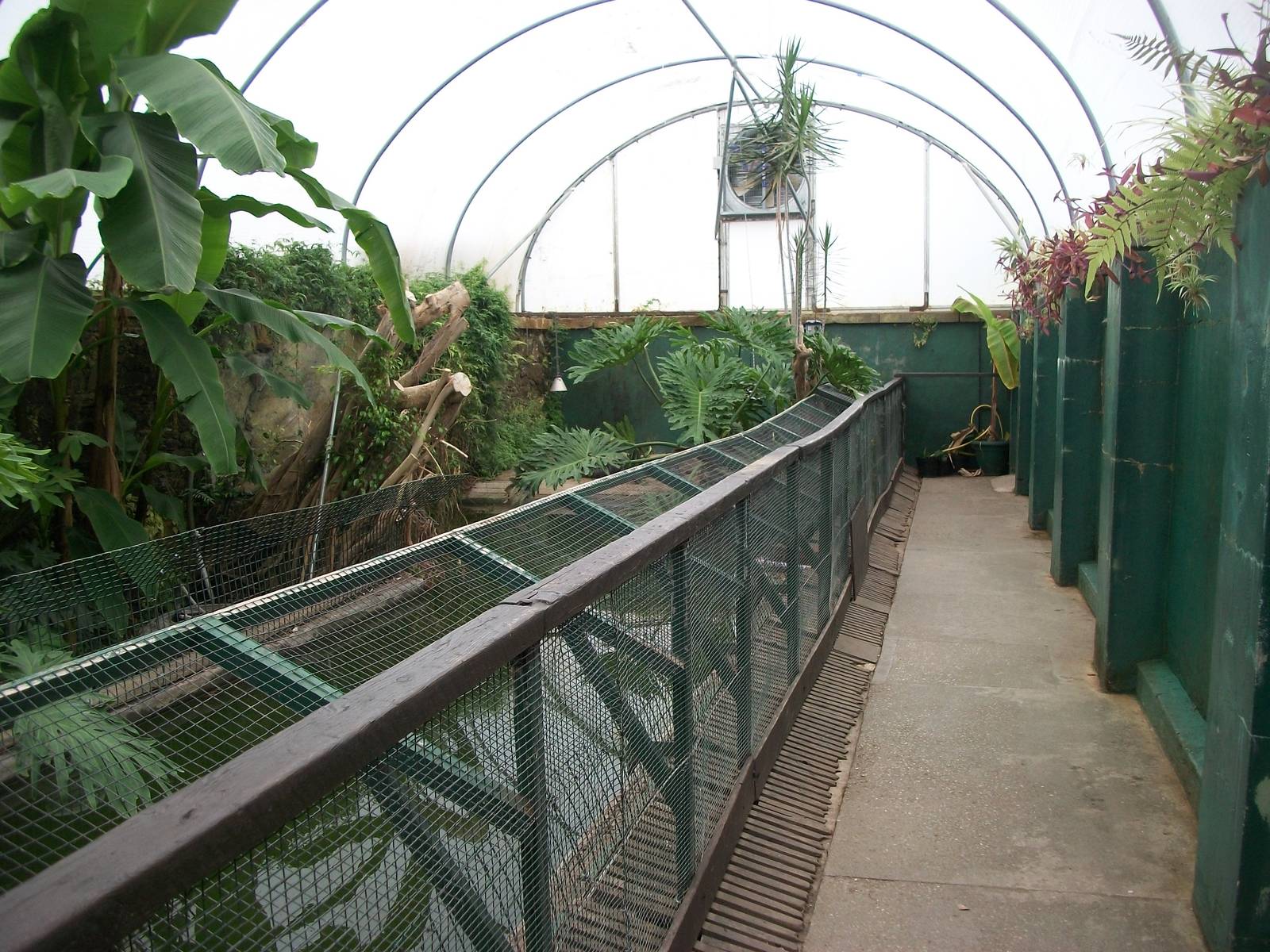 Alligator Beach 20th May 2013