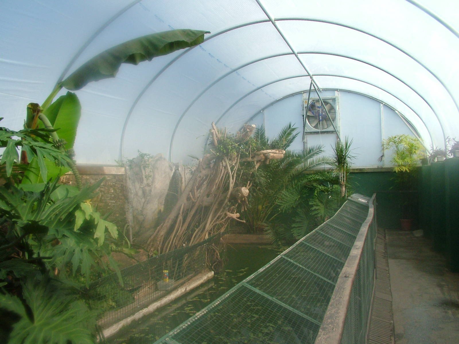 Alligator Beach at the Welsh Mountain Zoo Oct 08