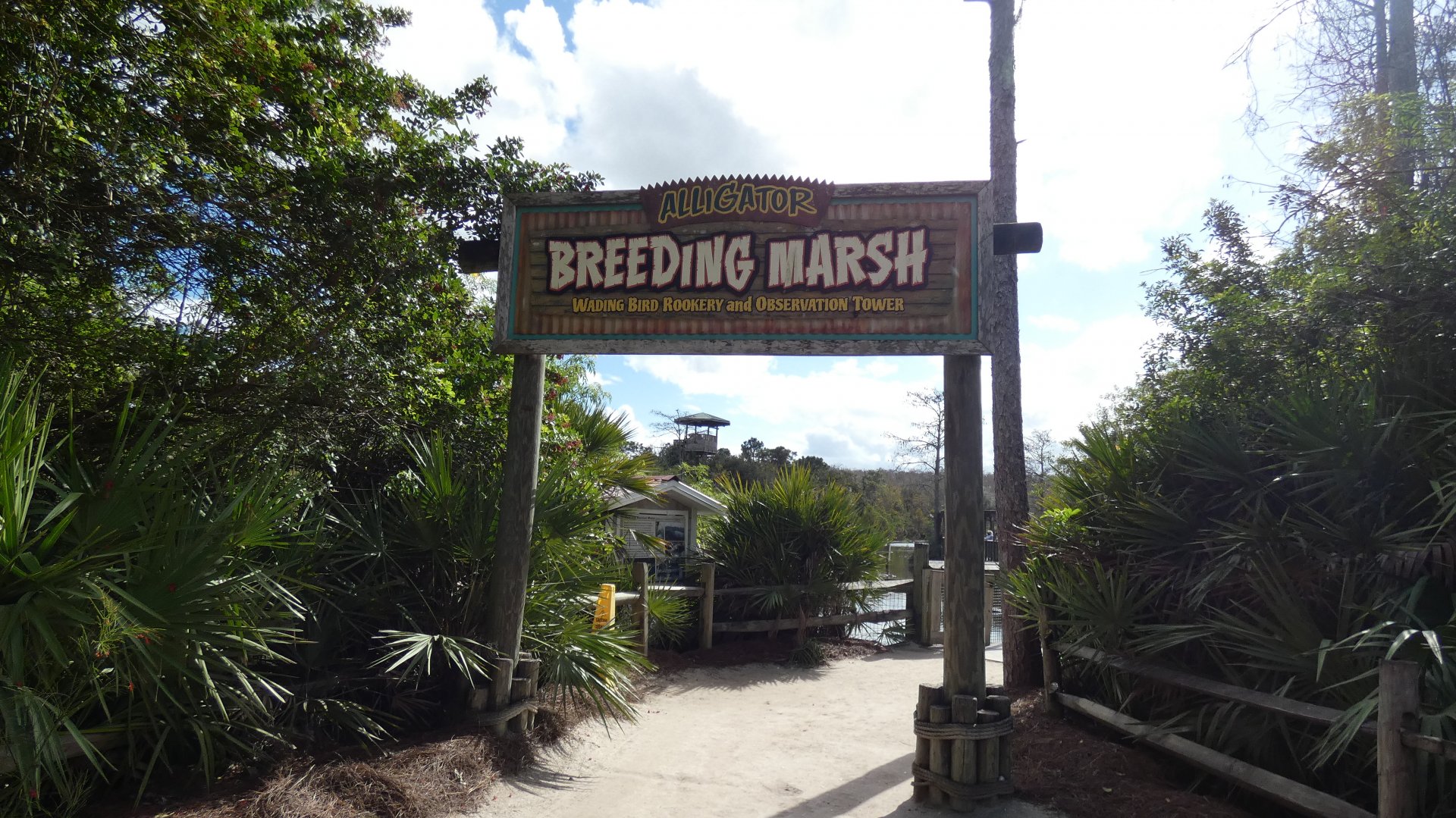 Alligator Breeding Marsh - Jan. 2022