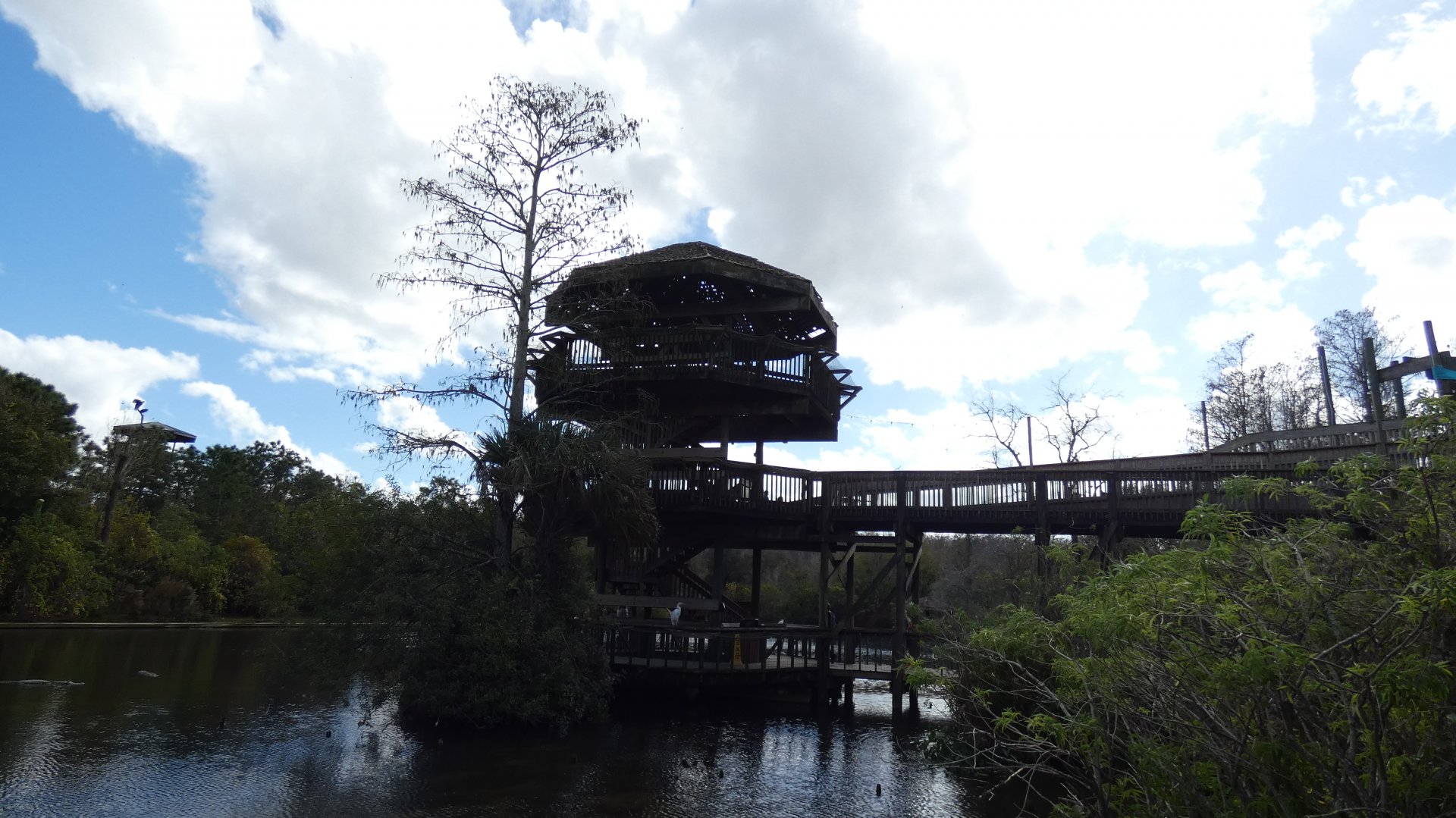 Alligator Breeding Marsh Observation Tower - Jan. 2022