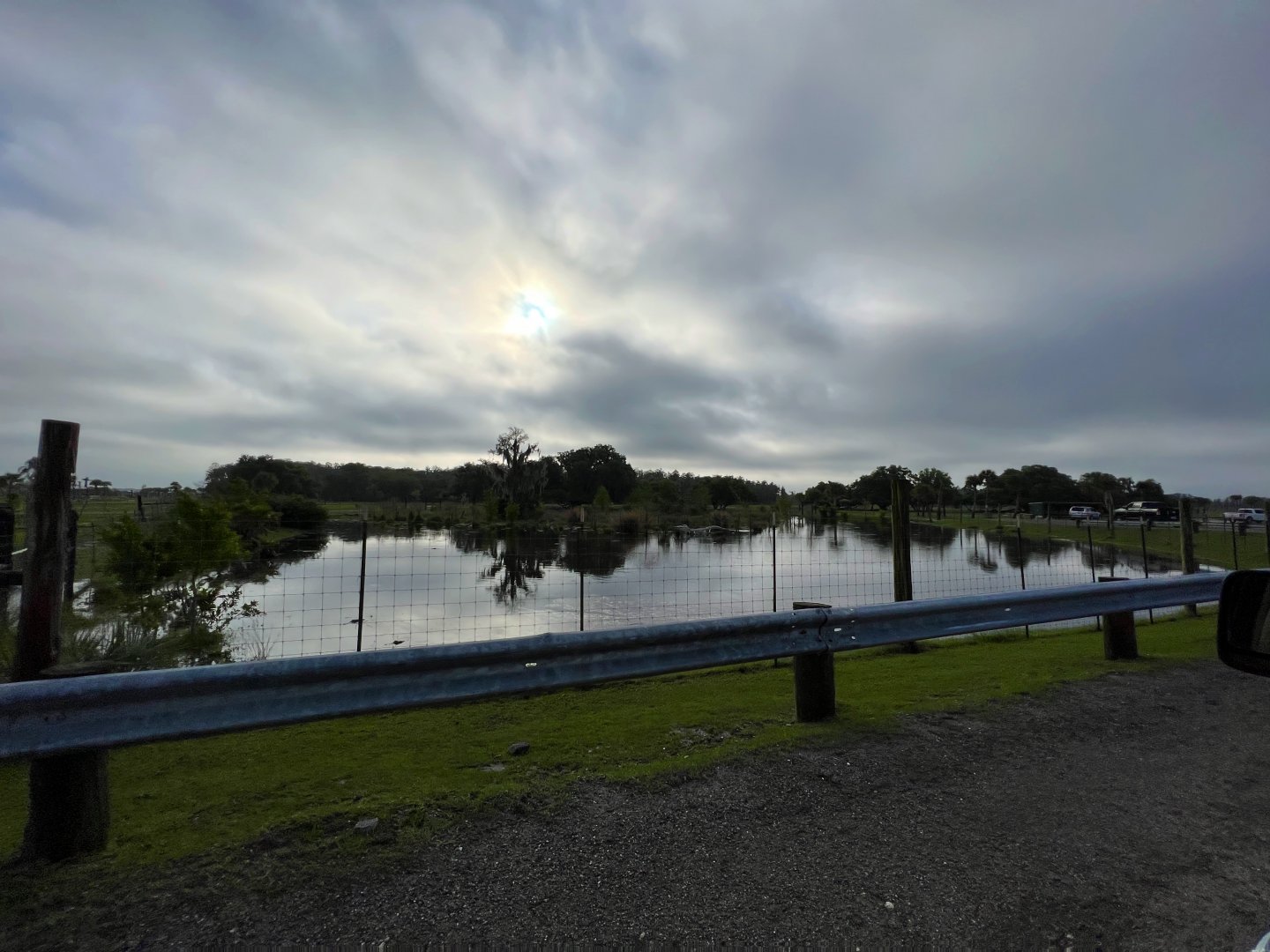 Alligator Breeding Marsh