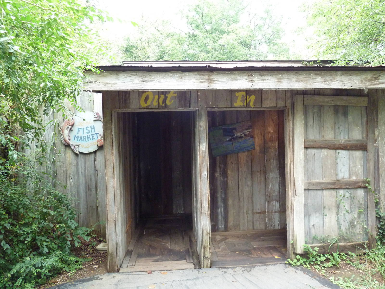 Alligator Cove - Entrance