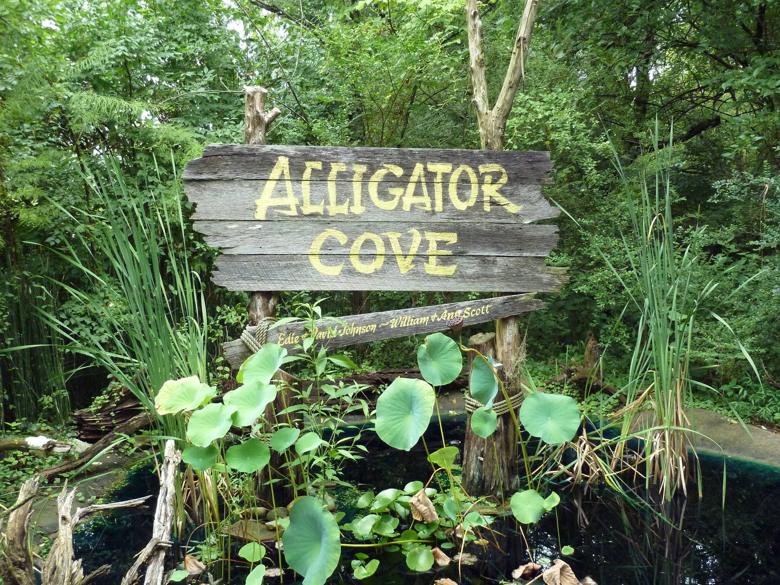 Alligator Cove - Sign