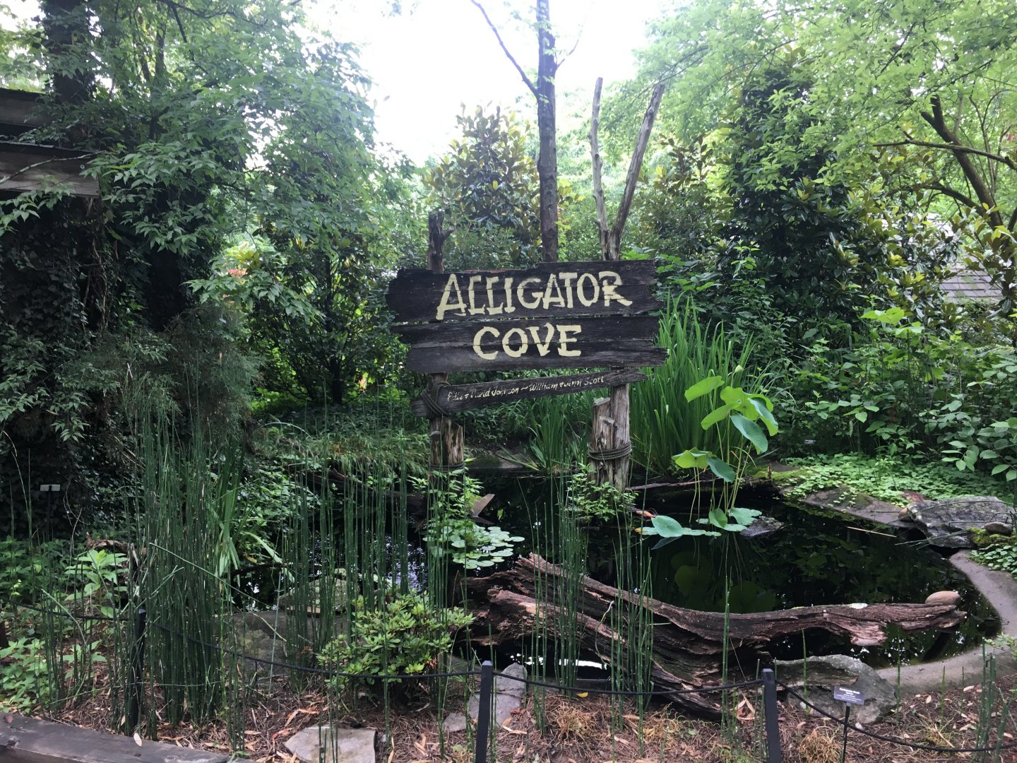 Alligator cove sign