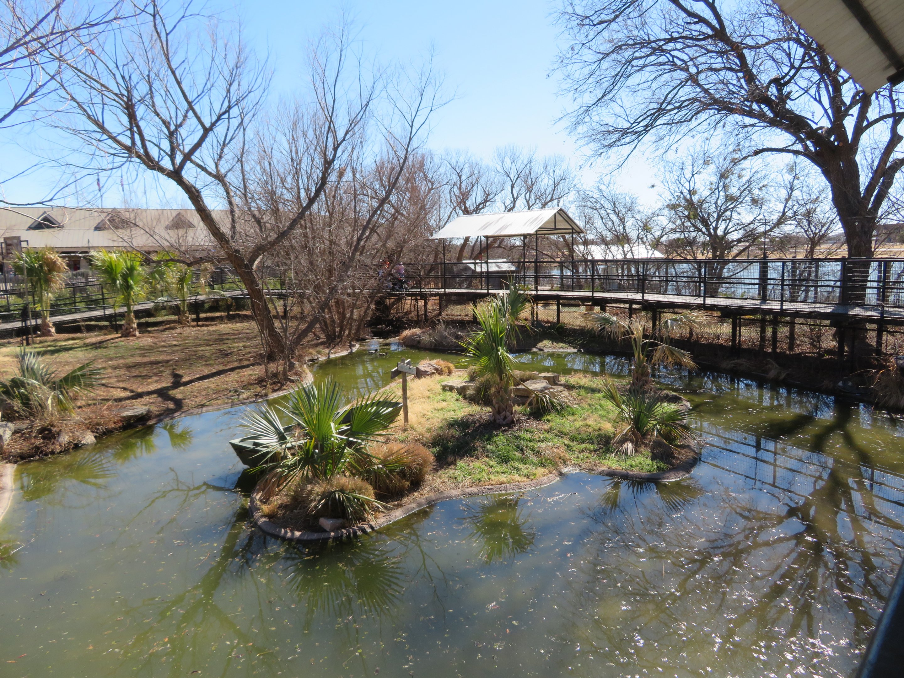 Alligator/Crane Exhibit (changes by season)