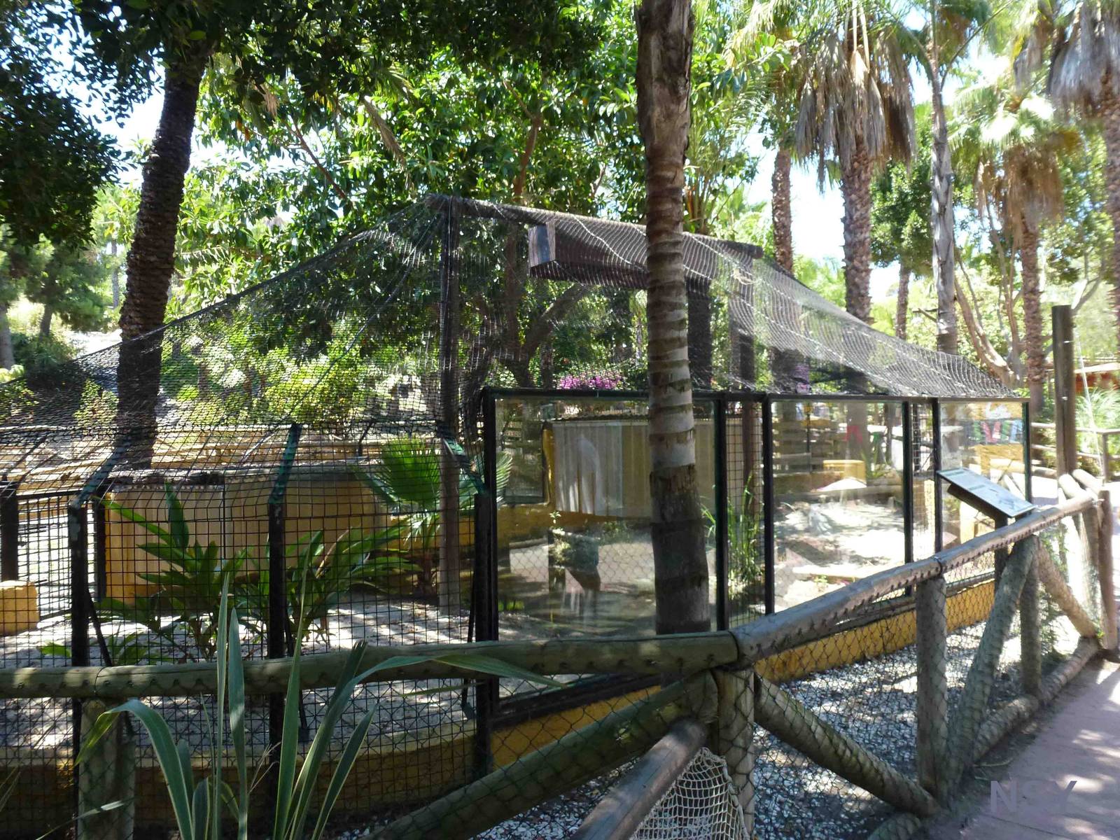 Alligator enclosure, July 2013.
