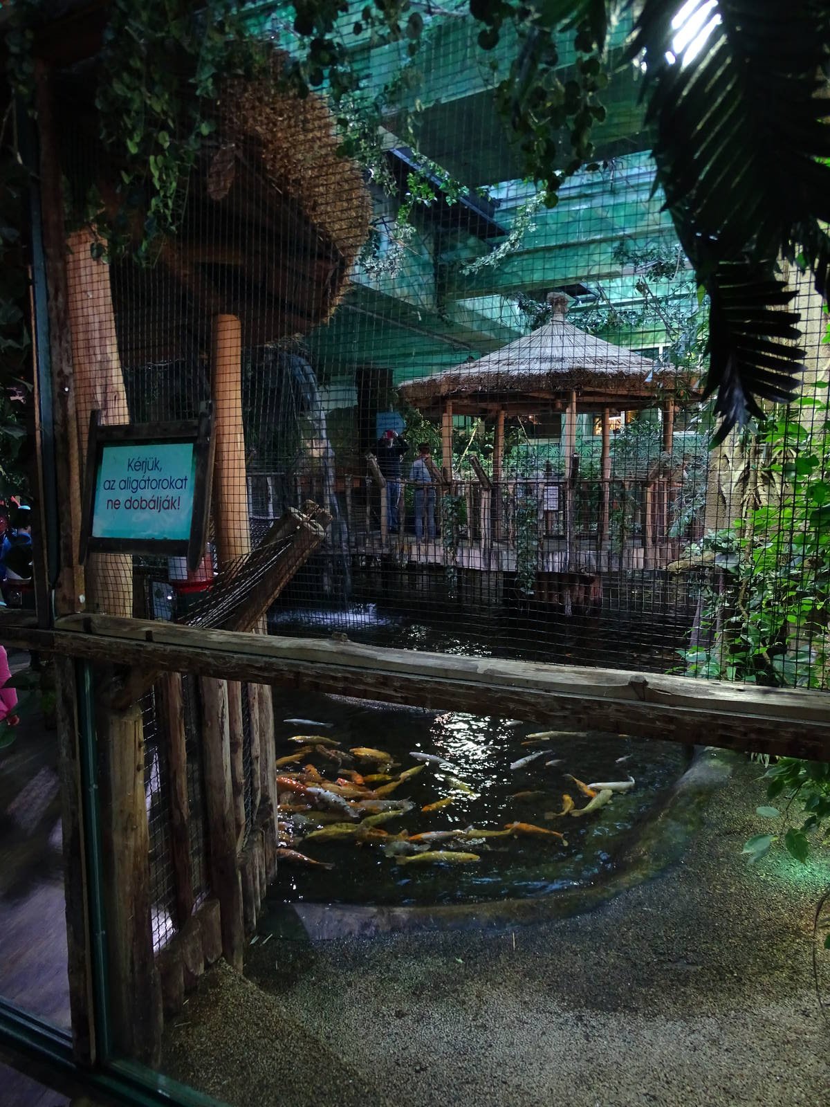 Alligator enclosure