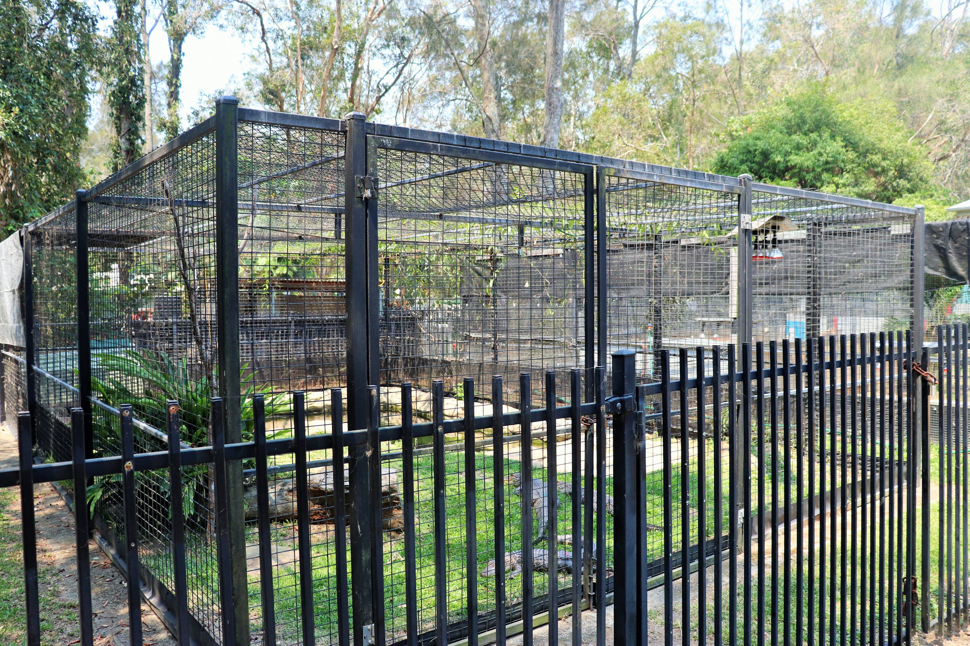 Alligator Enclosure