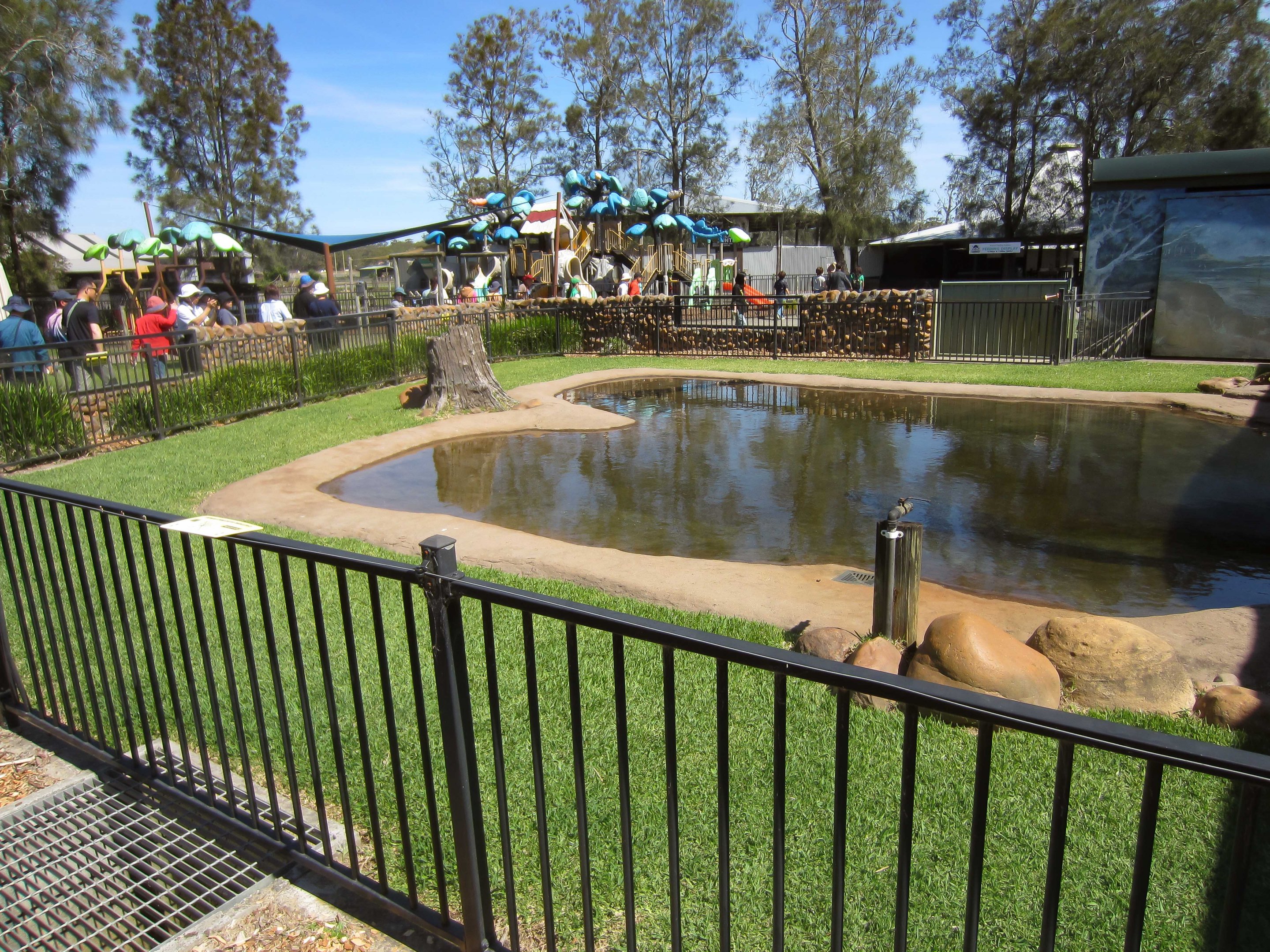 Alligator enclosure