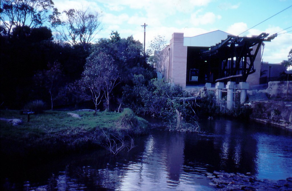 Alligator exhibit and Cablecar Terminal