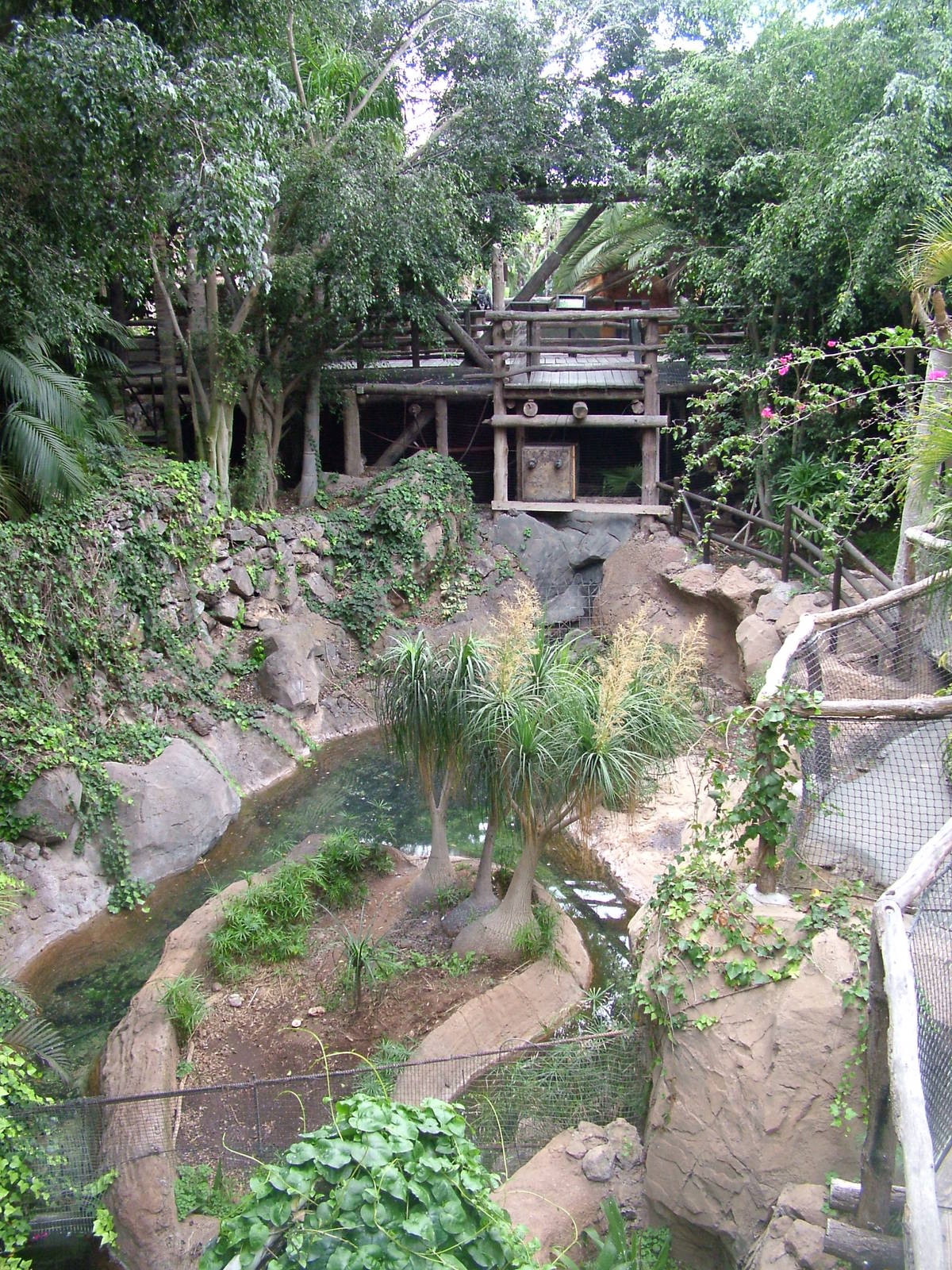 Alligator Exhibit at Jungle Park (Las Aguilas), 13/11/10