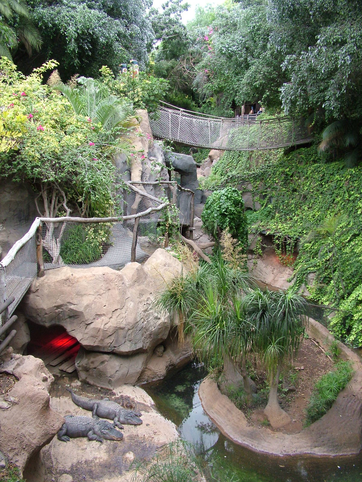 Alligator Exhibit at Jungle Park (Las Aguilas), 13/11/10