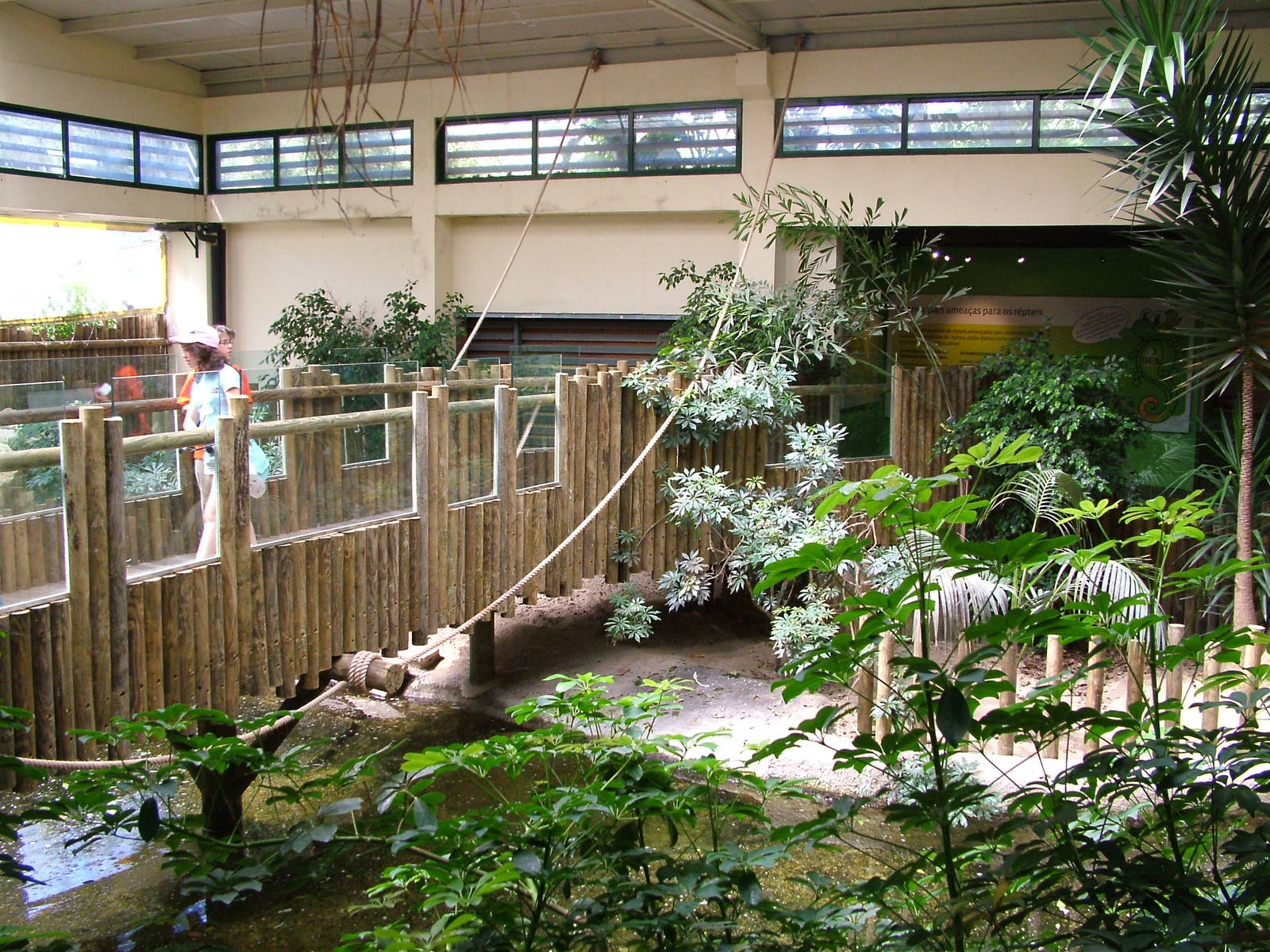 Alligator Exhibit at Lisbon Zoo, 24/05/11