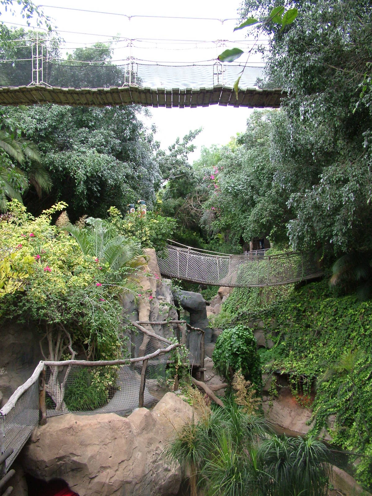 Alligator Exhibit Bridges at Jungle Park (Las Aguilas), 13/11/10