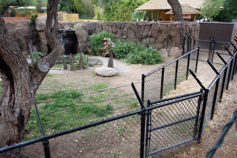alligator exhibit (with side chute)