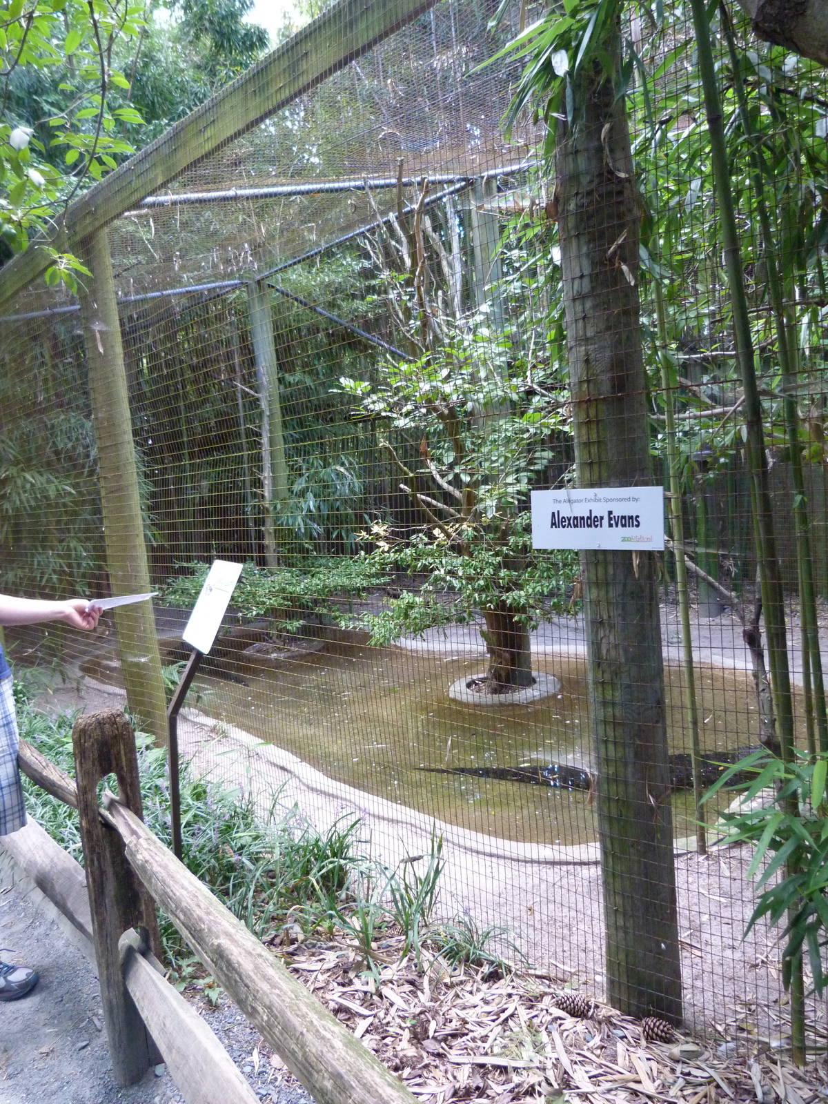 Alligator Exhibit