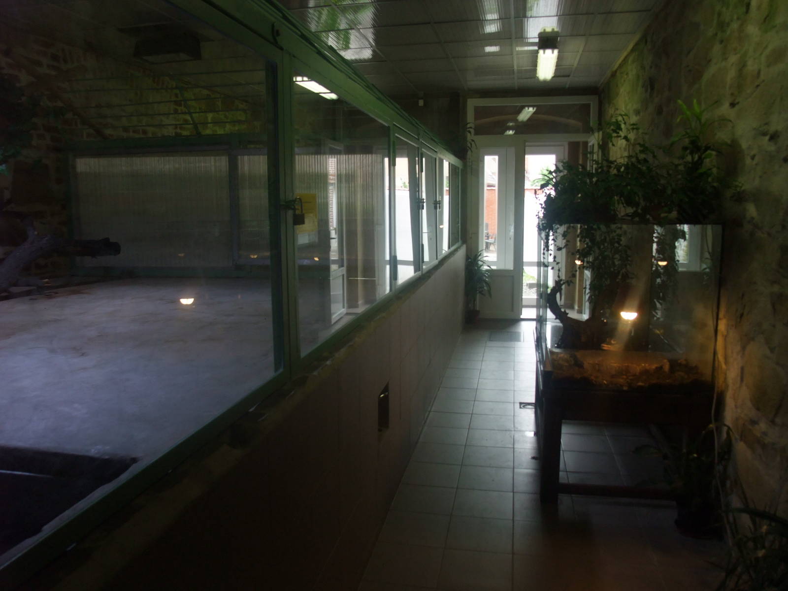 Alligator exhibits at Protivin Crocodile Zoo, 26/05/10