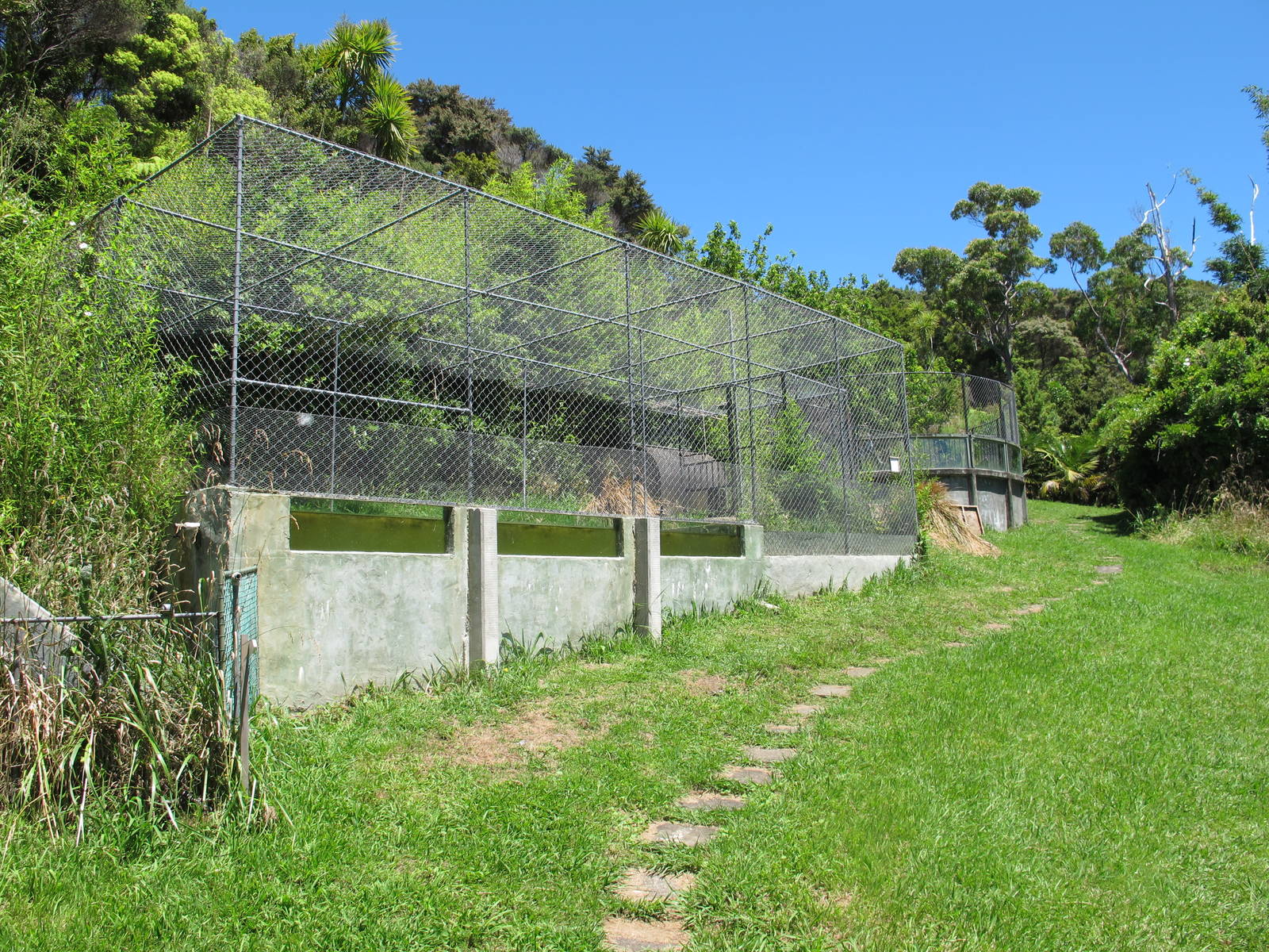 Alligator Exhibits - Ti Point Reptile Park 2012
