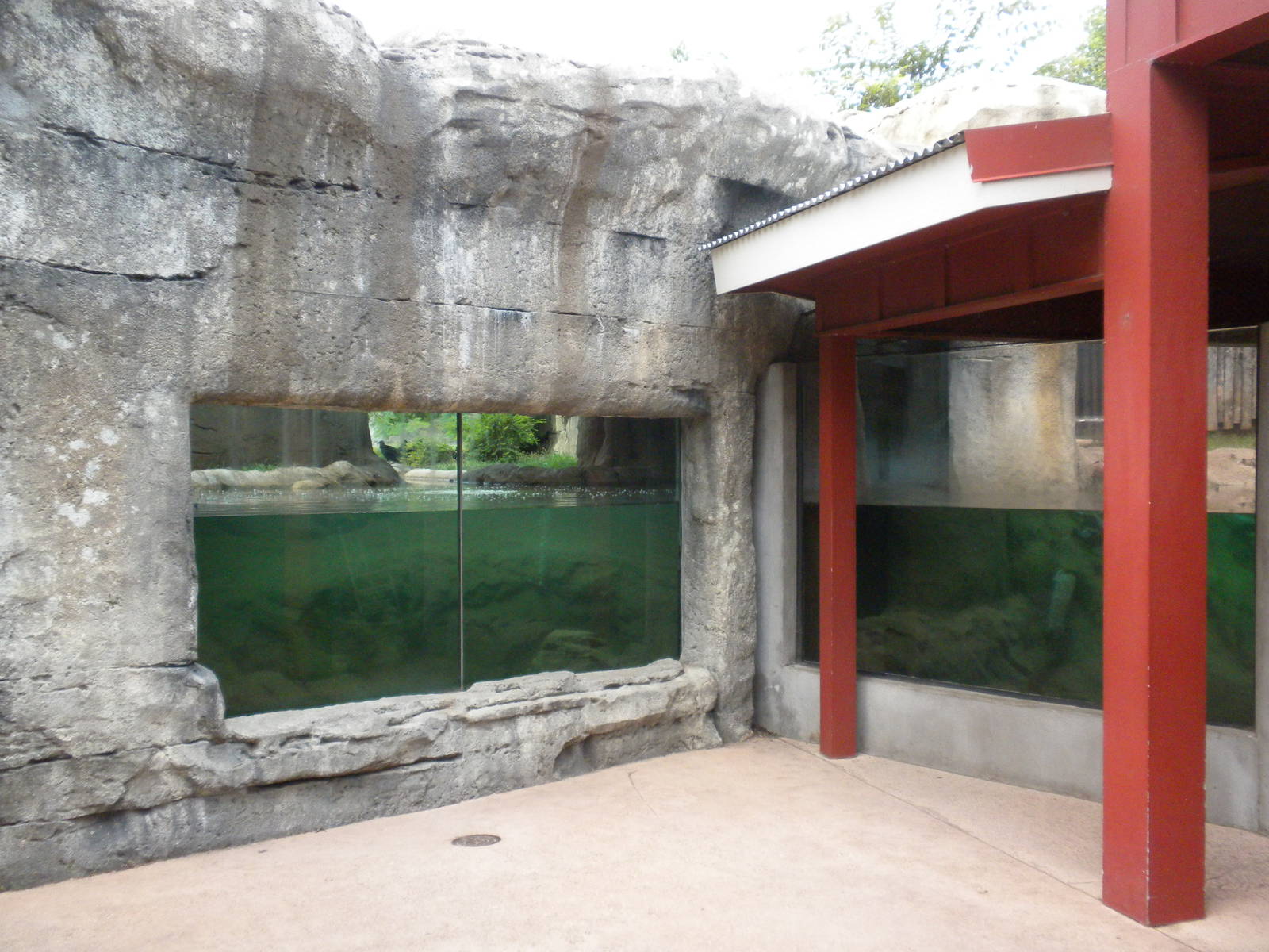 Alligator exhibits