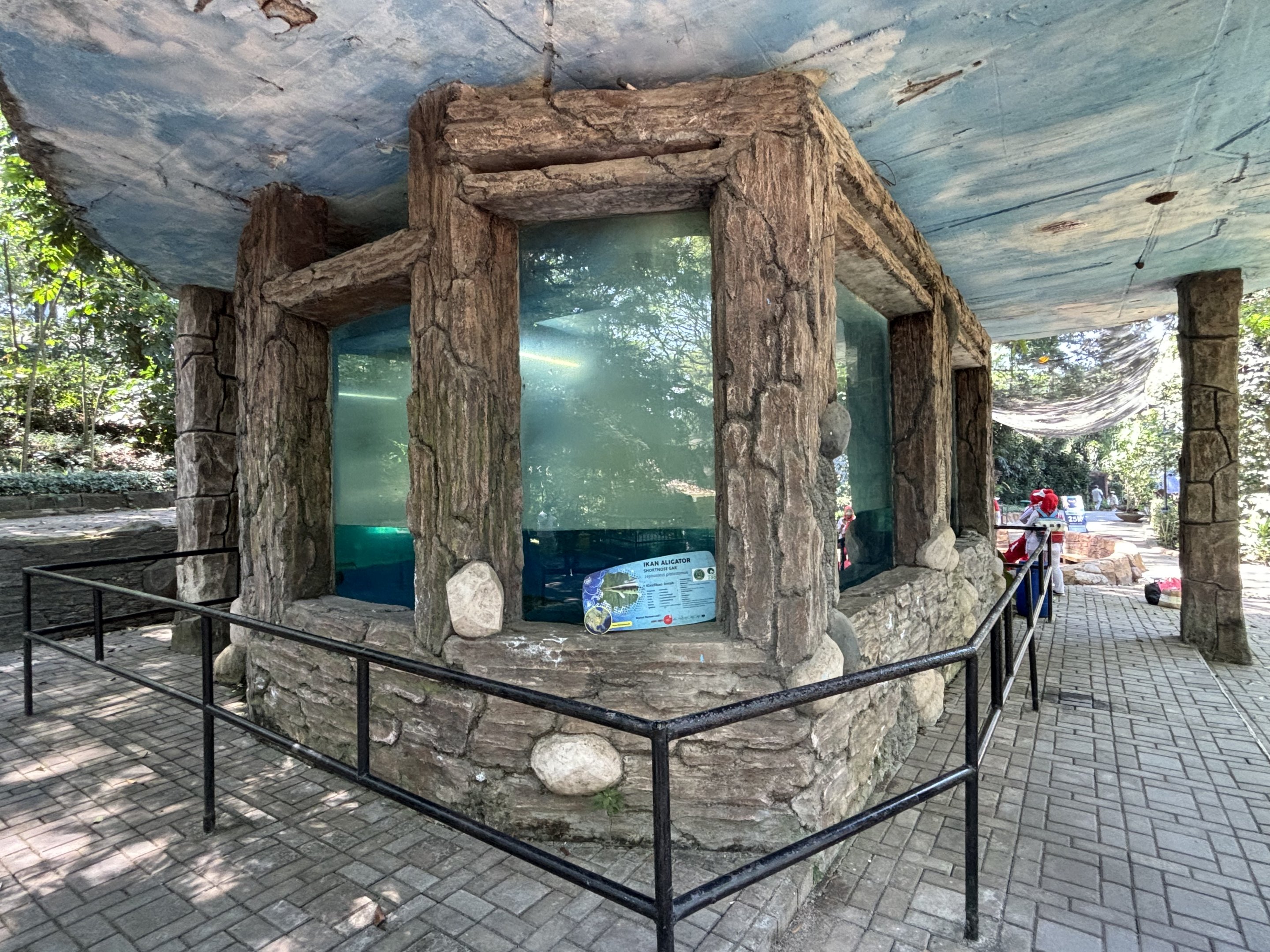 Alligator Gar + Florida Gar Exhibit