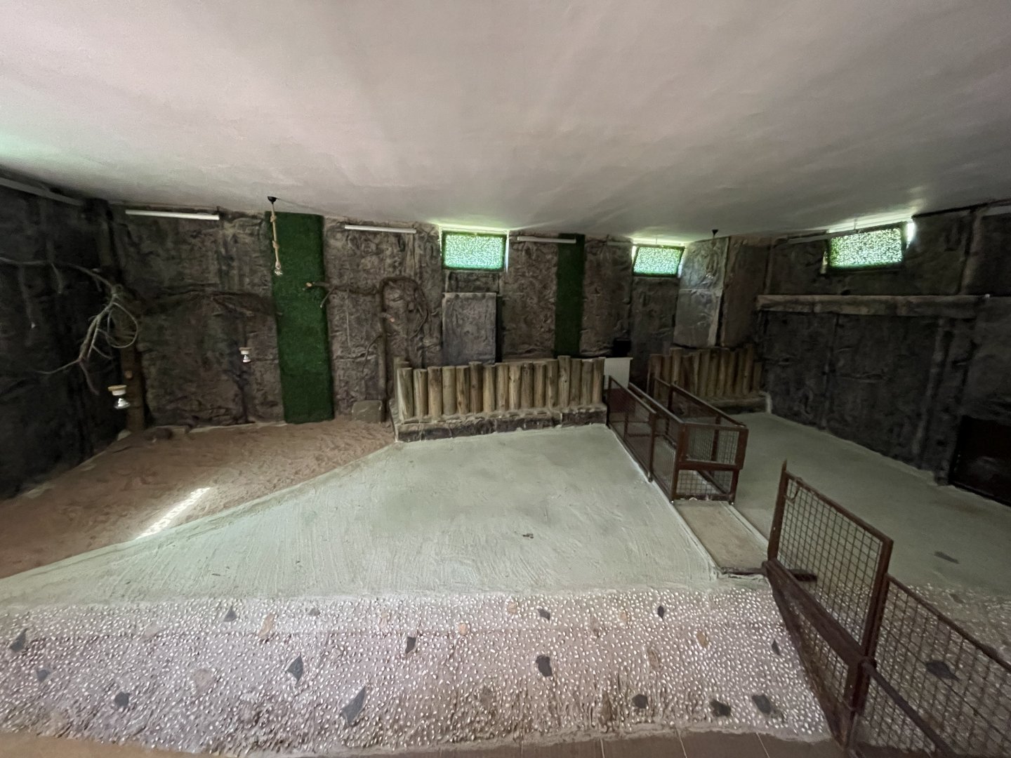 Alligator indoor exhibit