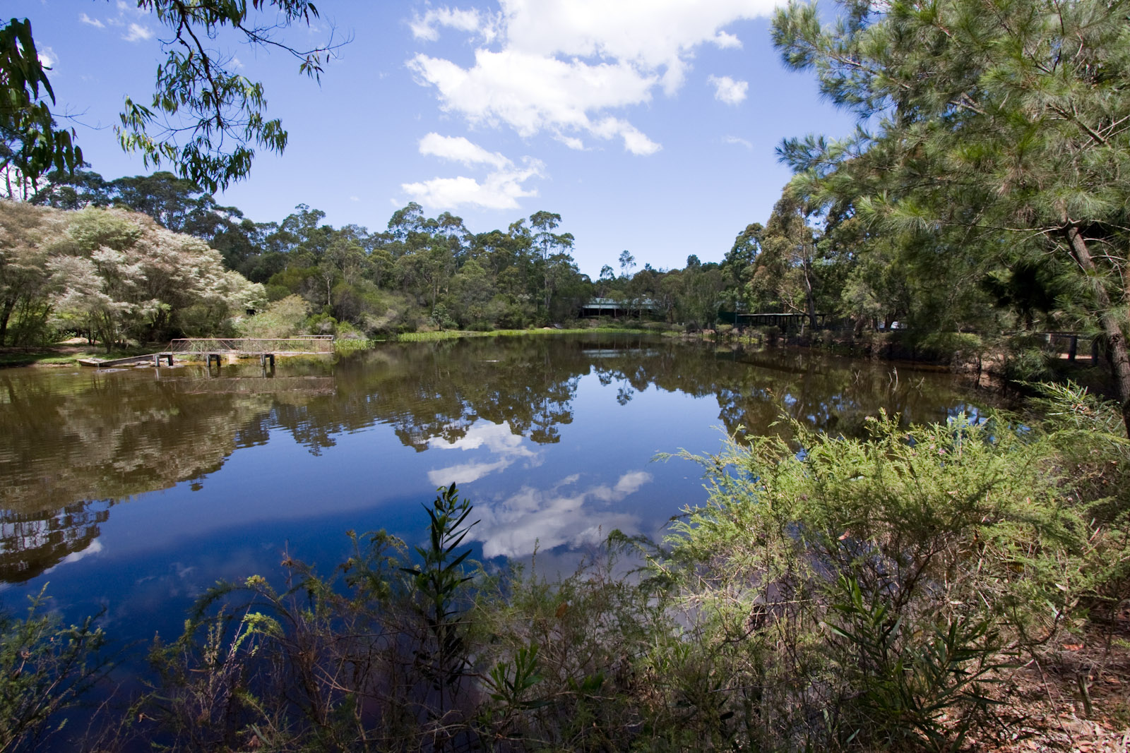 Alligator lake - Nov 2008