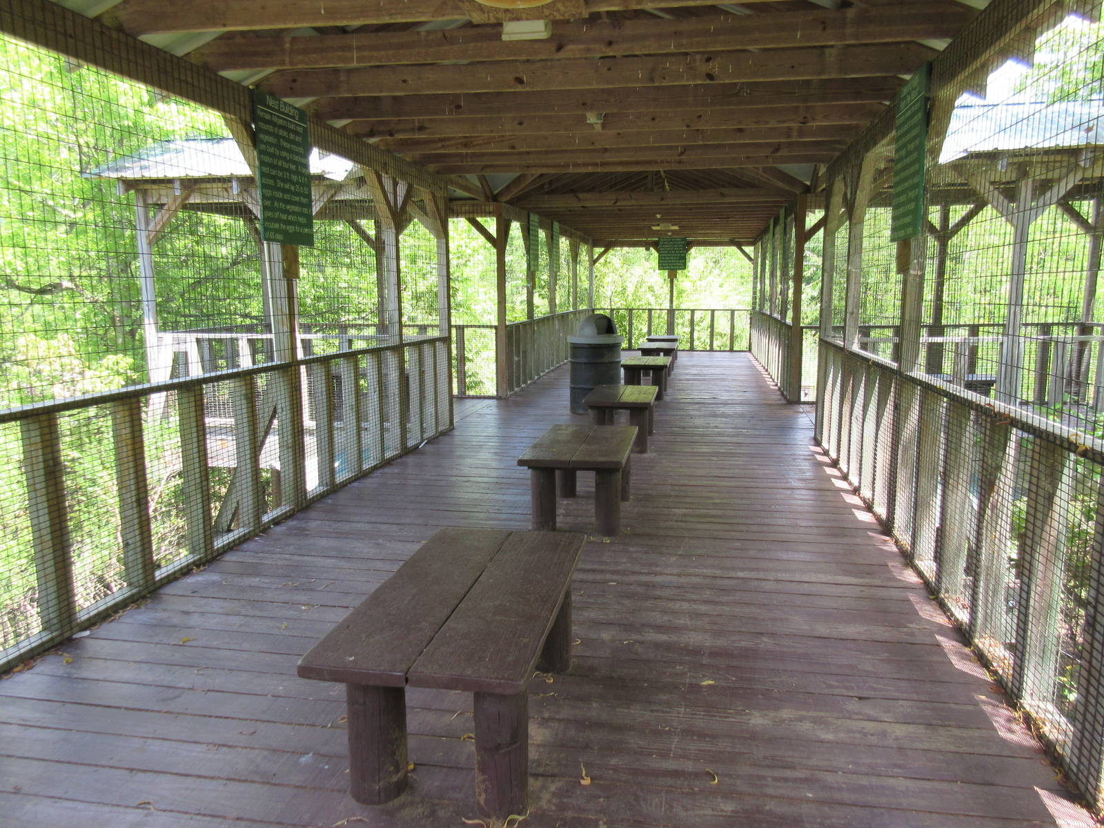 Alligator Marsh - Viewing Deck
