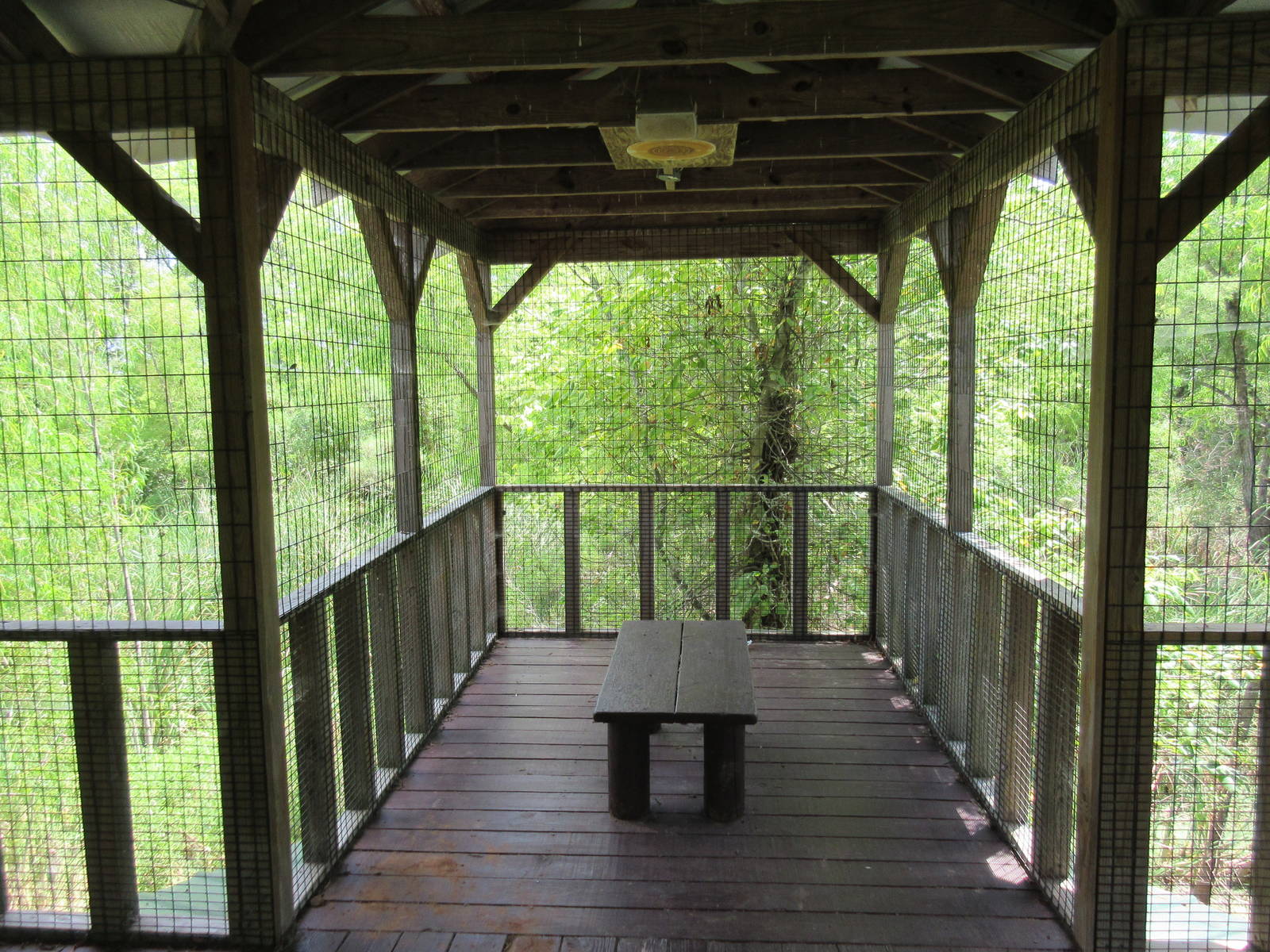 Alligator Marsh - Viewing Deck